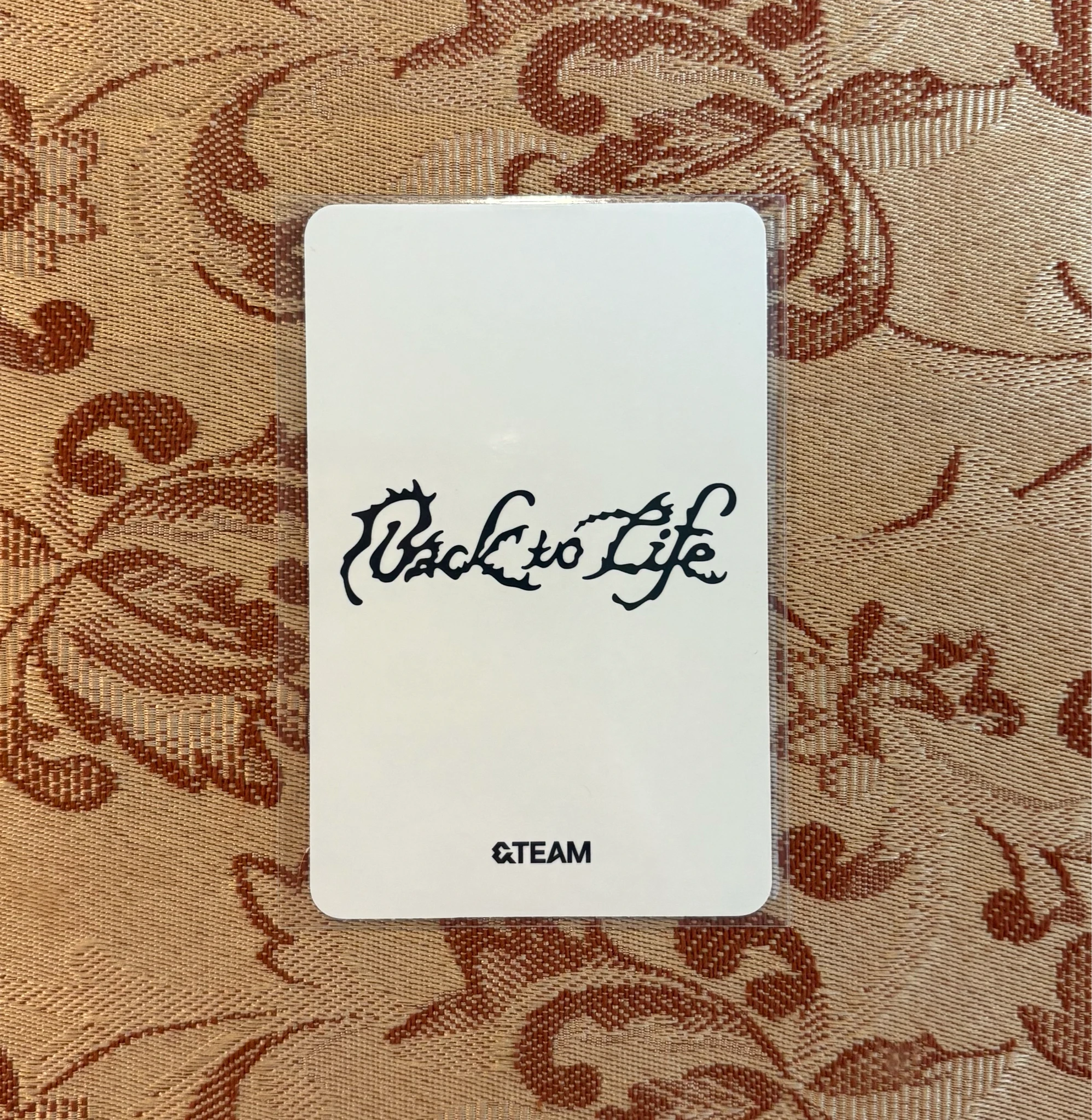 &TEAM K &TEAM - K - Back to Life  Album album photocard roar version B version listing photo 2
