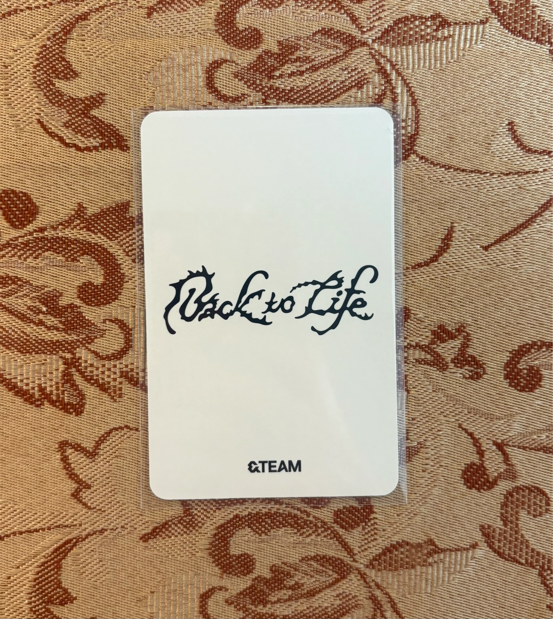&TEAM Jo &TEAM - Jo - Back to Life  Album album photocard roar version B version listing photo 2