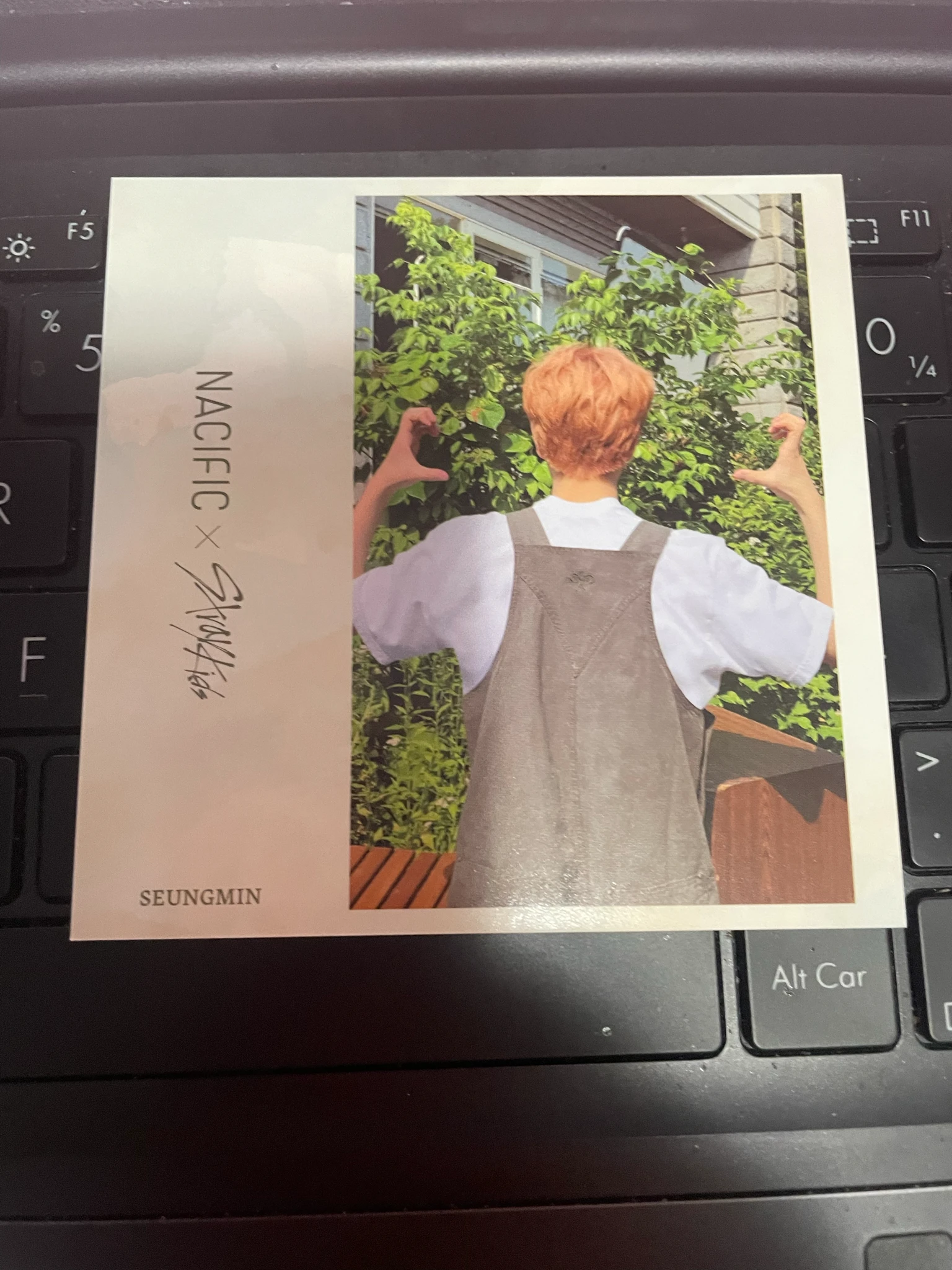 Stray Kids Seungmin Stray Kids - Seungmin - NACIFIC  x Stray Kids Other brand collaboration nacific skz's little forest double-sided postcard listing photo 2