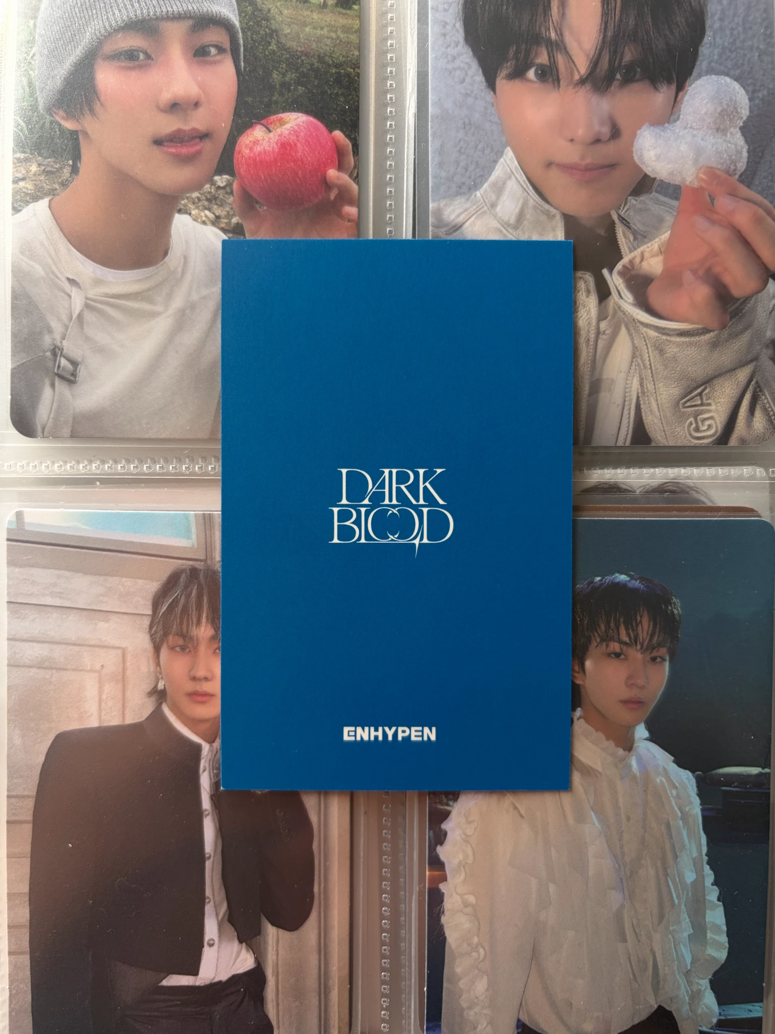 ENHYPEN Jungwon ENHYPEN - Jungwon - DARK BLOOD Album lucky draw weverse japan shop (wvj) listing photo 2