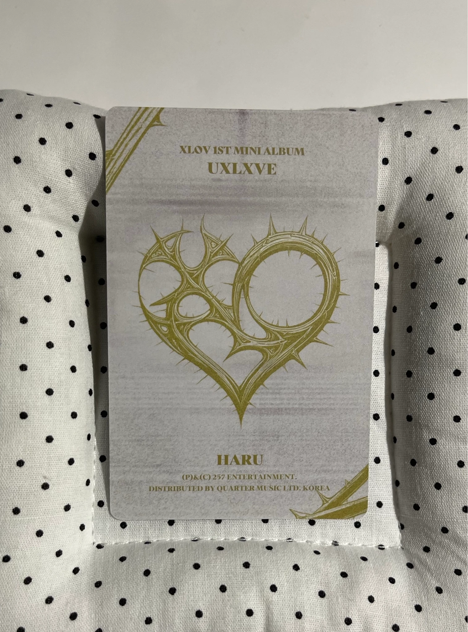 XLOV Haru XLOV - Haru - UXLXVE Album album photocard N version listing photo 2