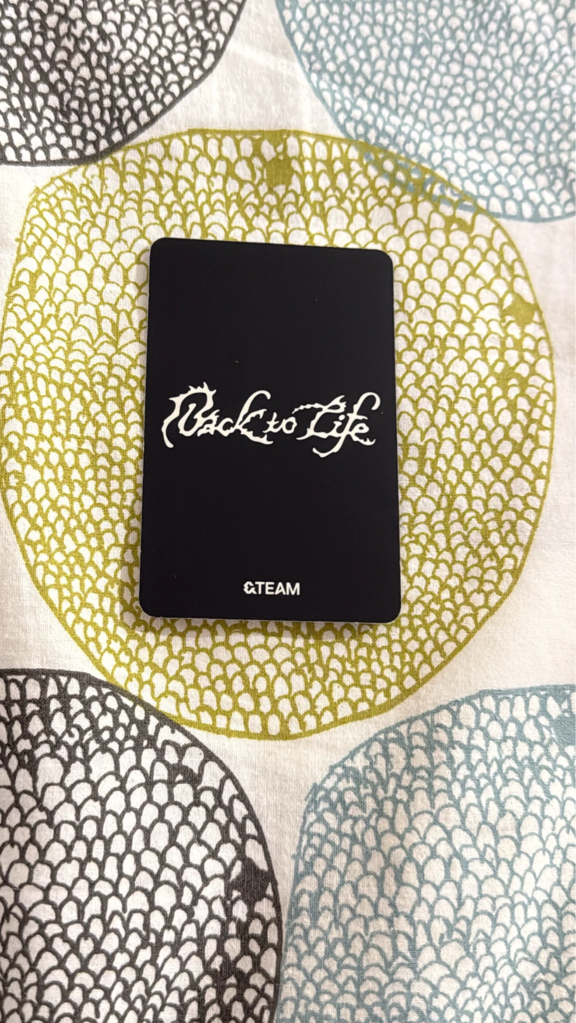&TEAM Harua  &TEAM - Harua  - Back to Life  Album roar version A version album photocard listing photo 2