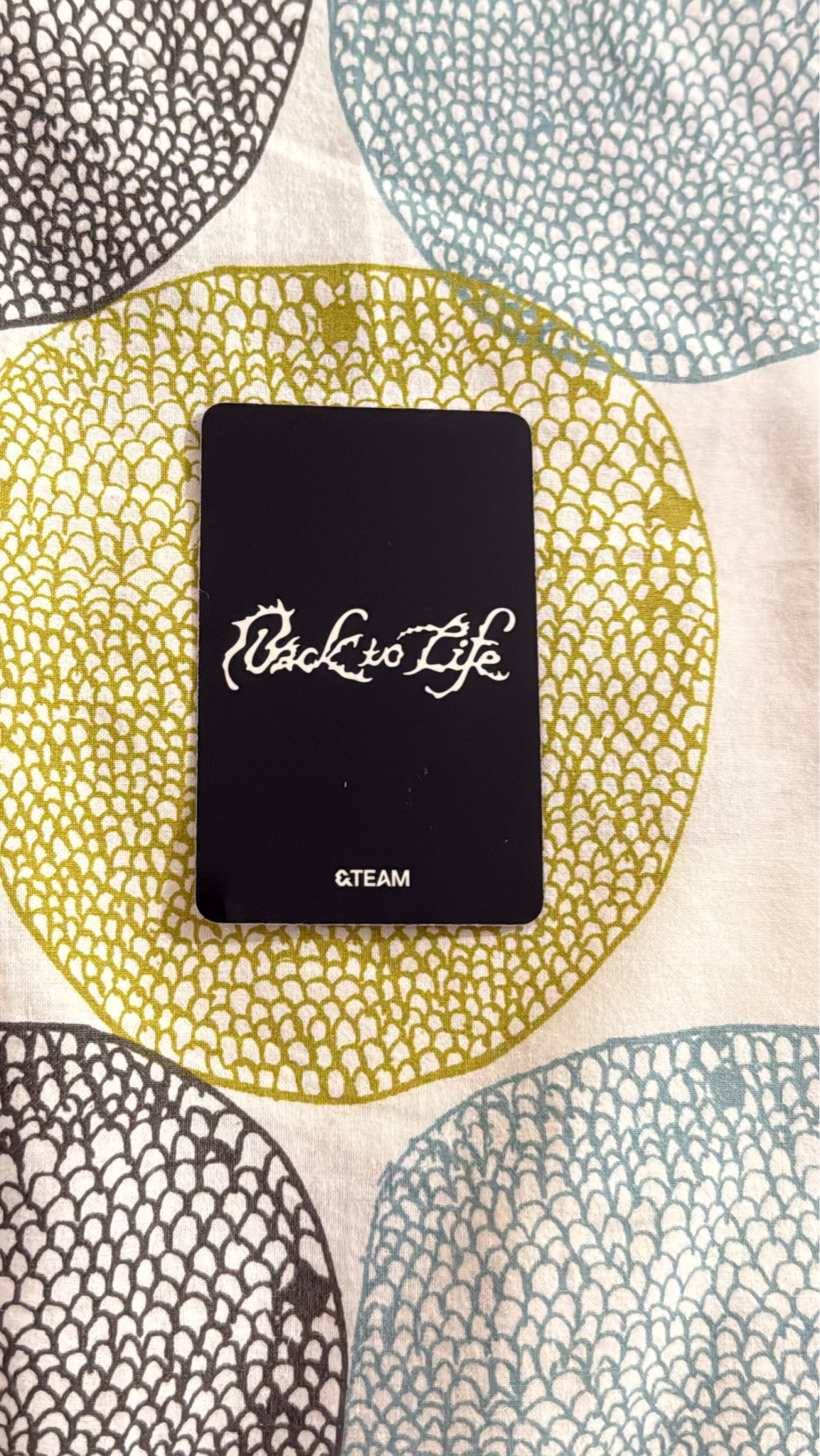&TEAM K &TEAM - K - Back to Life  Album A version album photocard roar version listing photo 2
