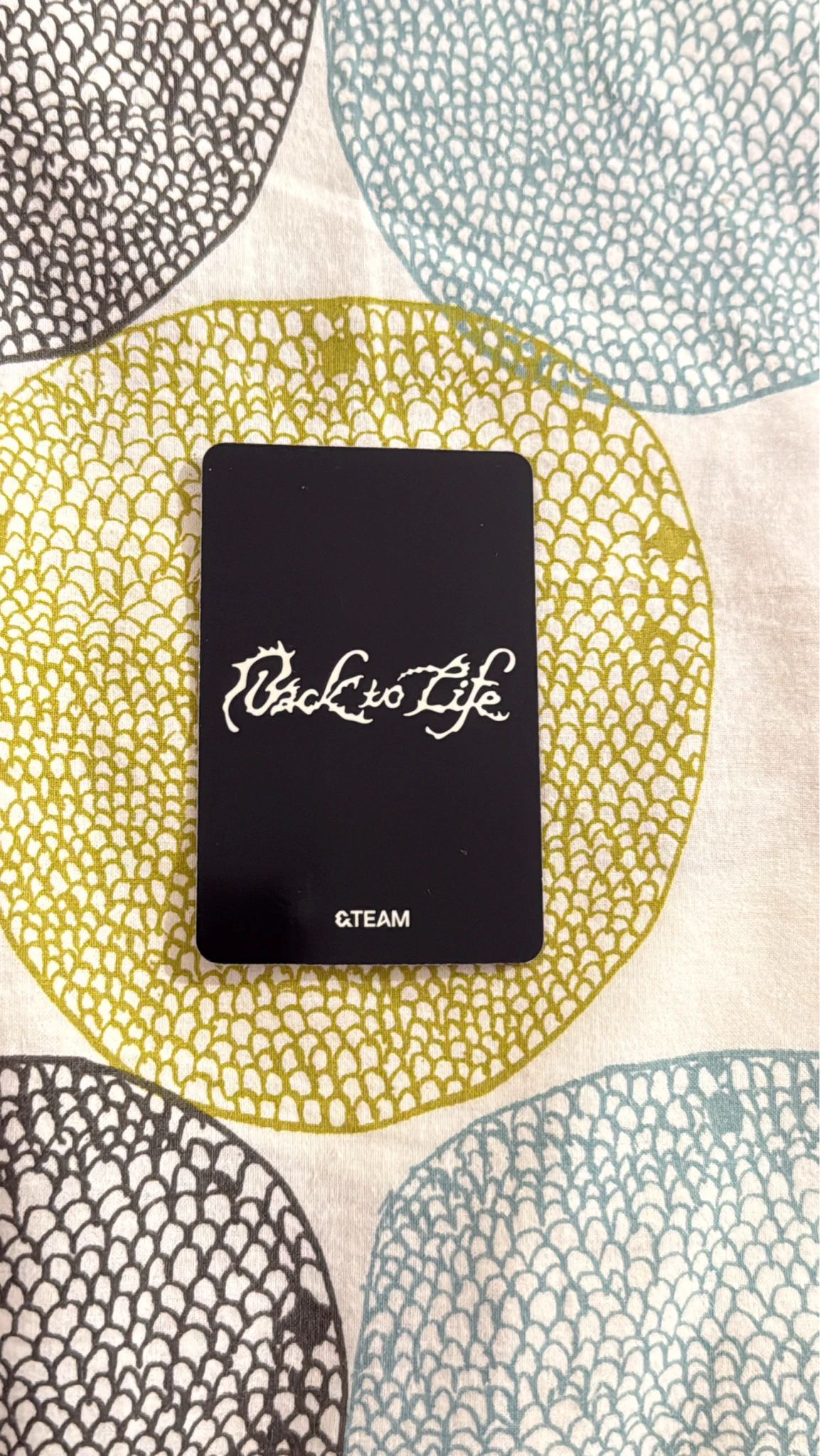 &TEAM Harua  &TEAM - Harua  - Back to Life  Album A version album photocard roar version listing photo 2