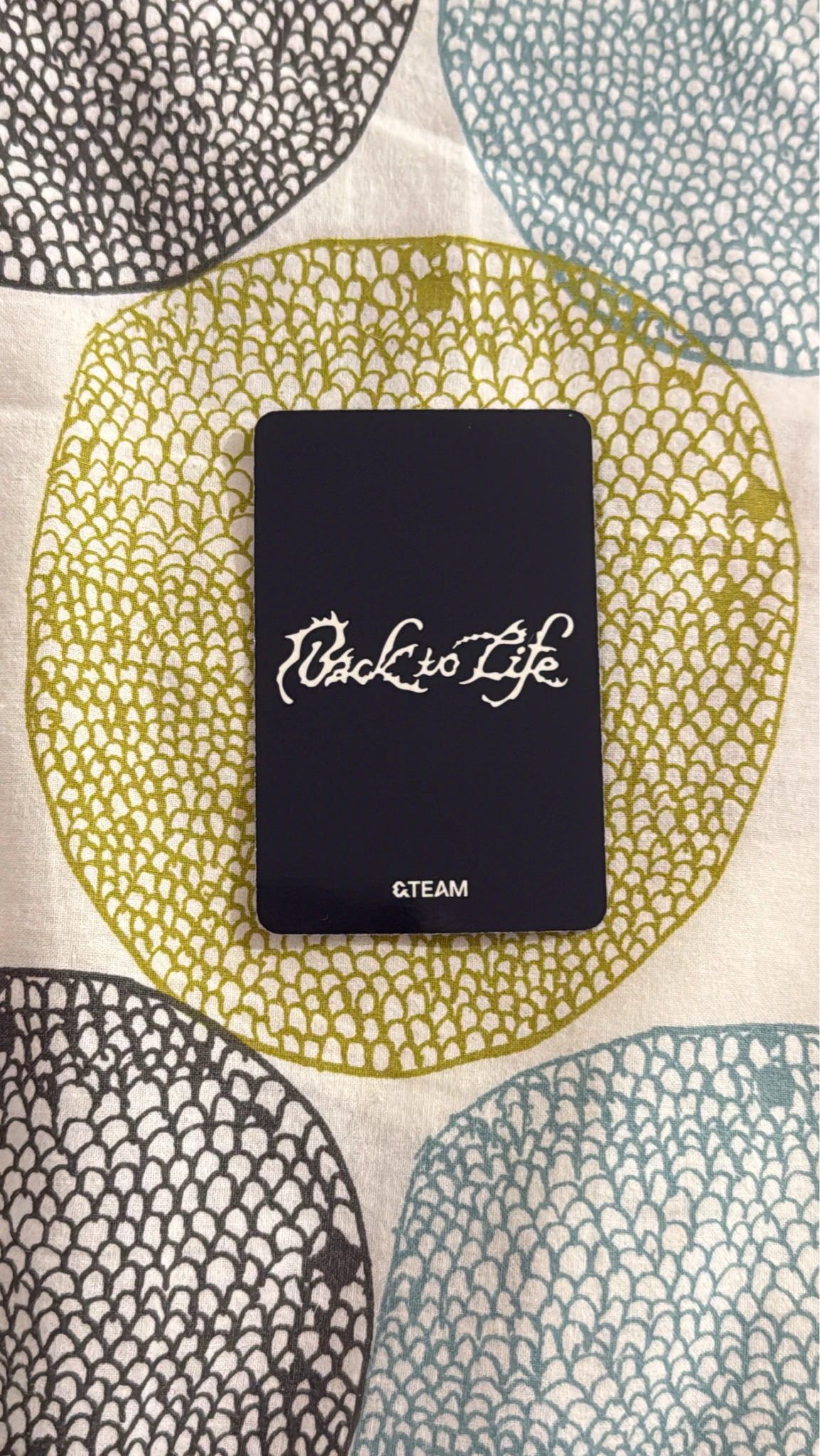 &TEAM Harua  &TEAM - Harua  - Back to Life  Album roar version album photocard A version listing photo 2