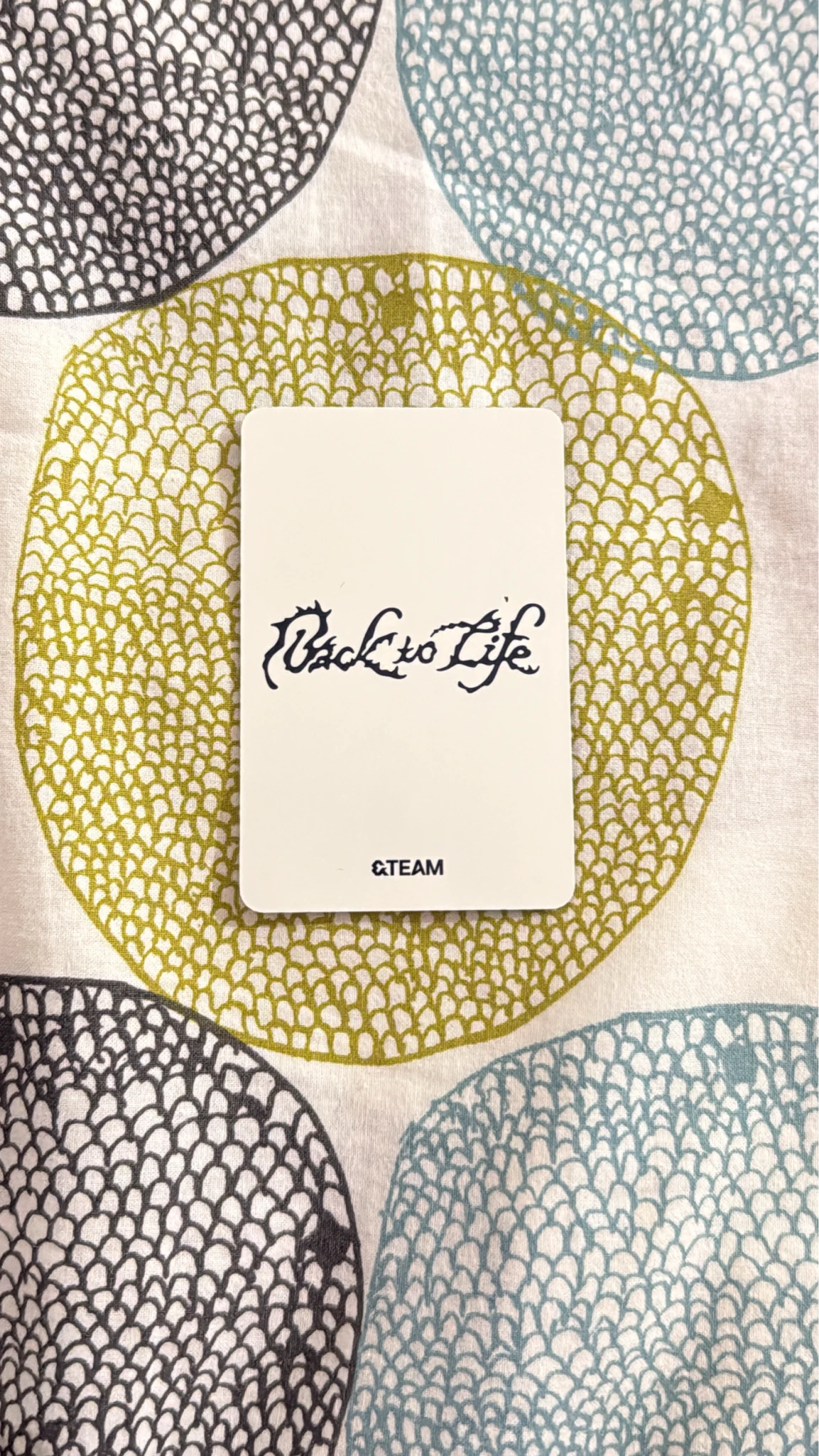 &TEAM Harua  &TEAM - Harua  - Back to Life  Album album photocard roar version B version listing photo 2