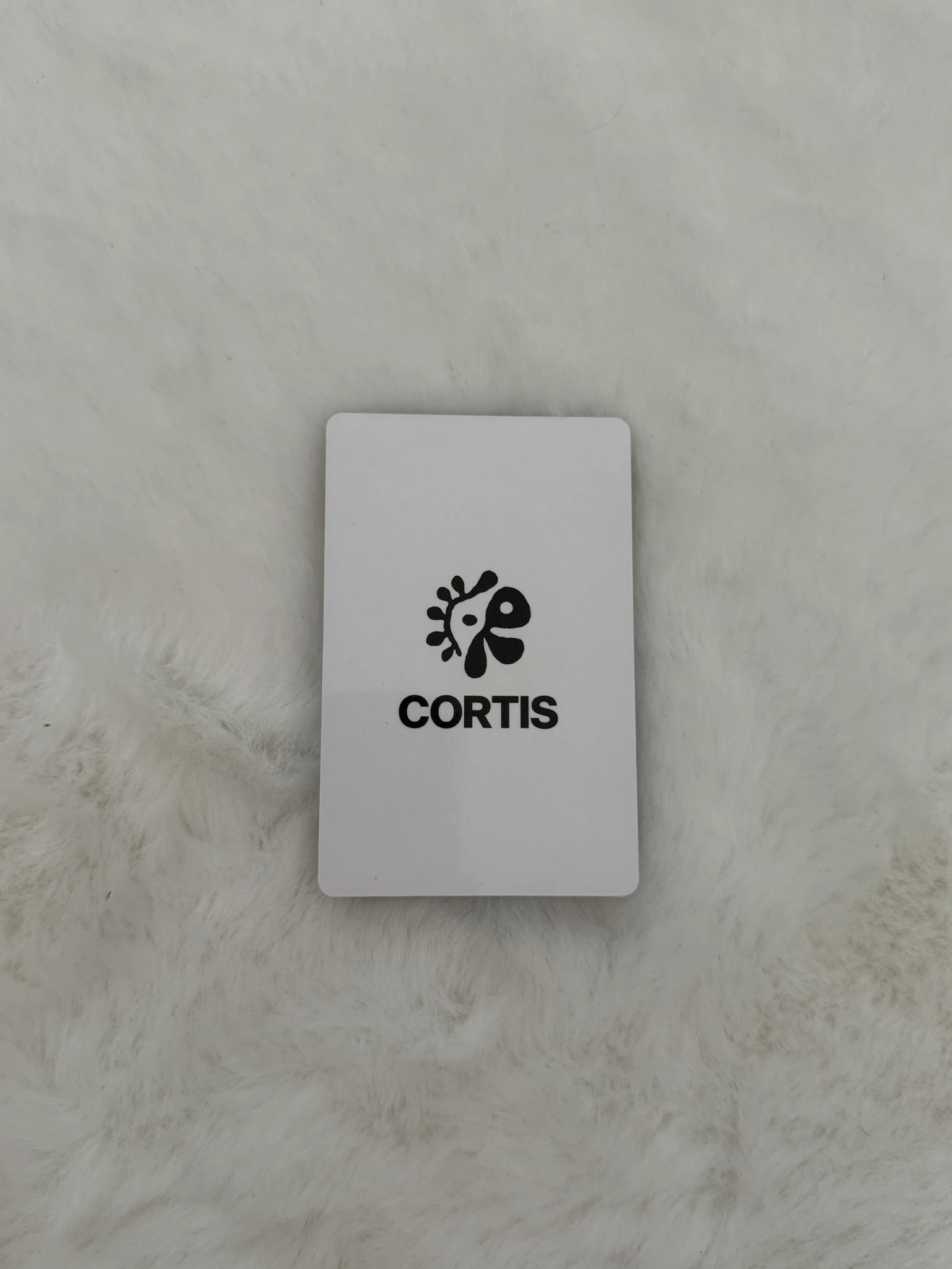 CORTIS Juhoon CORTIS - Juhoon - Exclusive Photocards Other weverse shop japan japan exclusive exclusive photocard listing photo 2