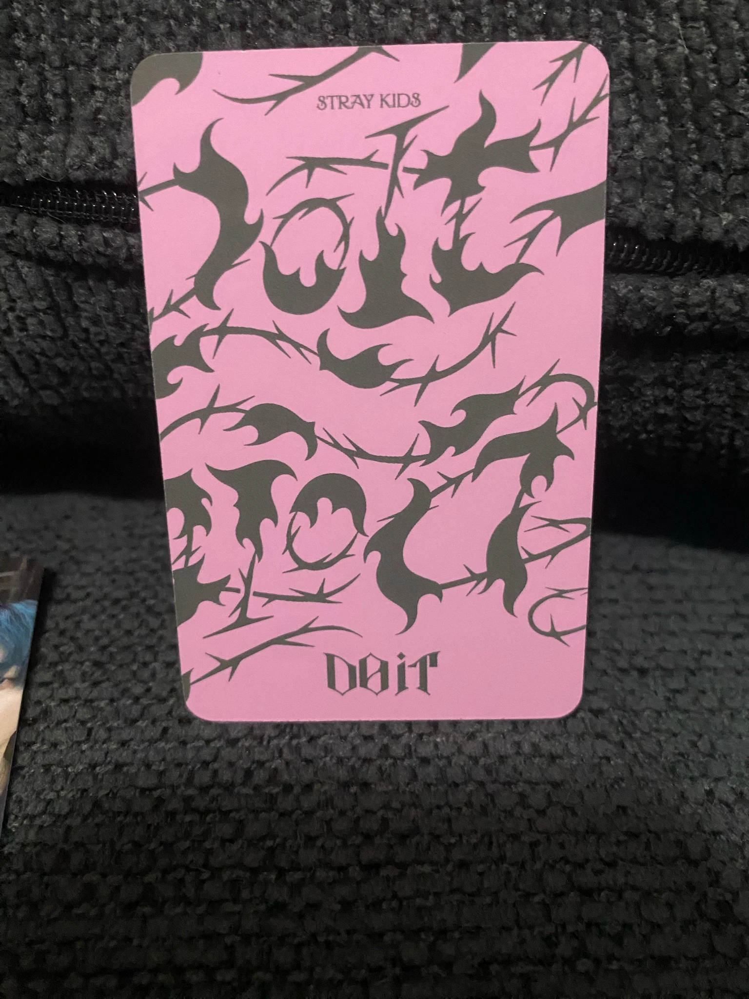 Stray Kids Stray Kids - Bang Chan & Seungmin - Do It Album album photocard do ver listing photo 2