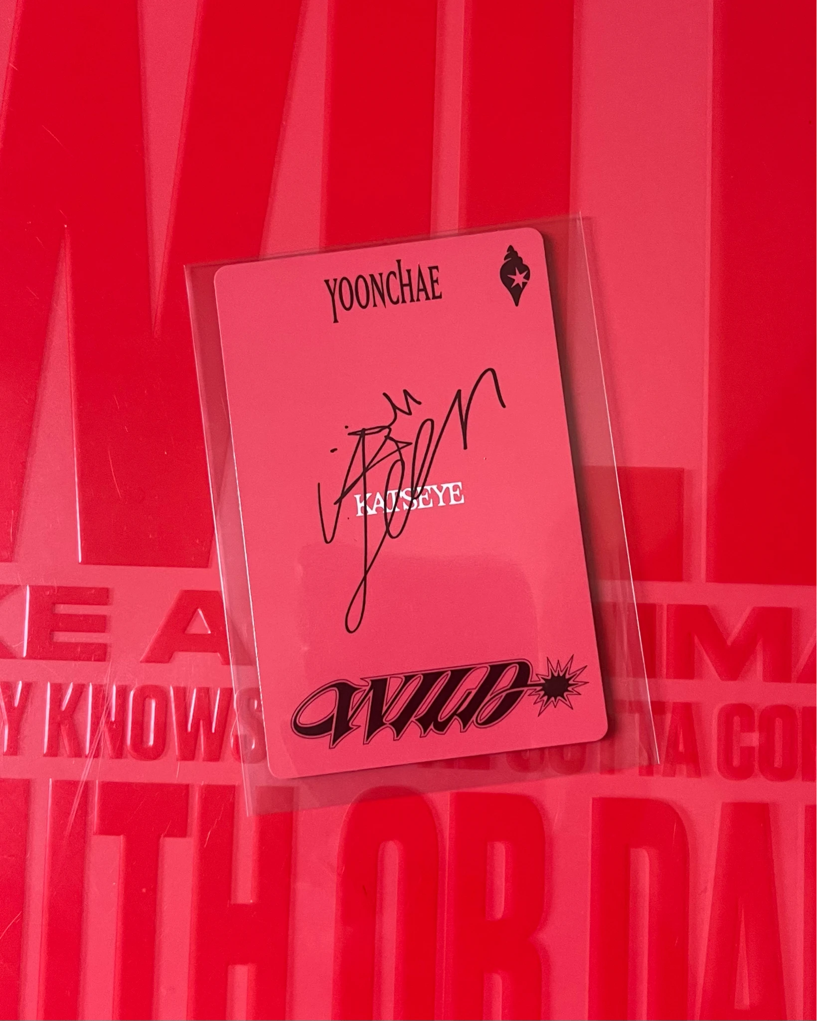 KATSEYE Yoonchae KATSEYE - Yoonchae - WILD Album target retail exclusive listing photo 2