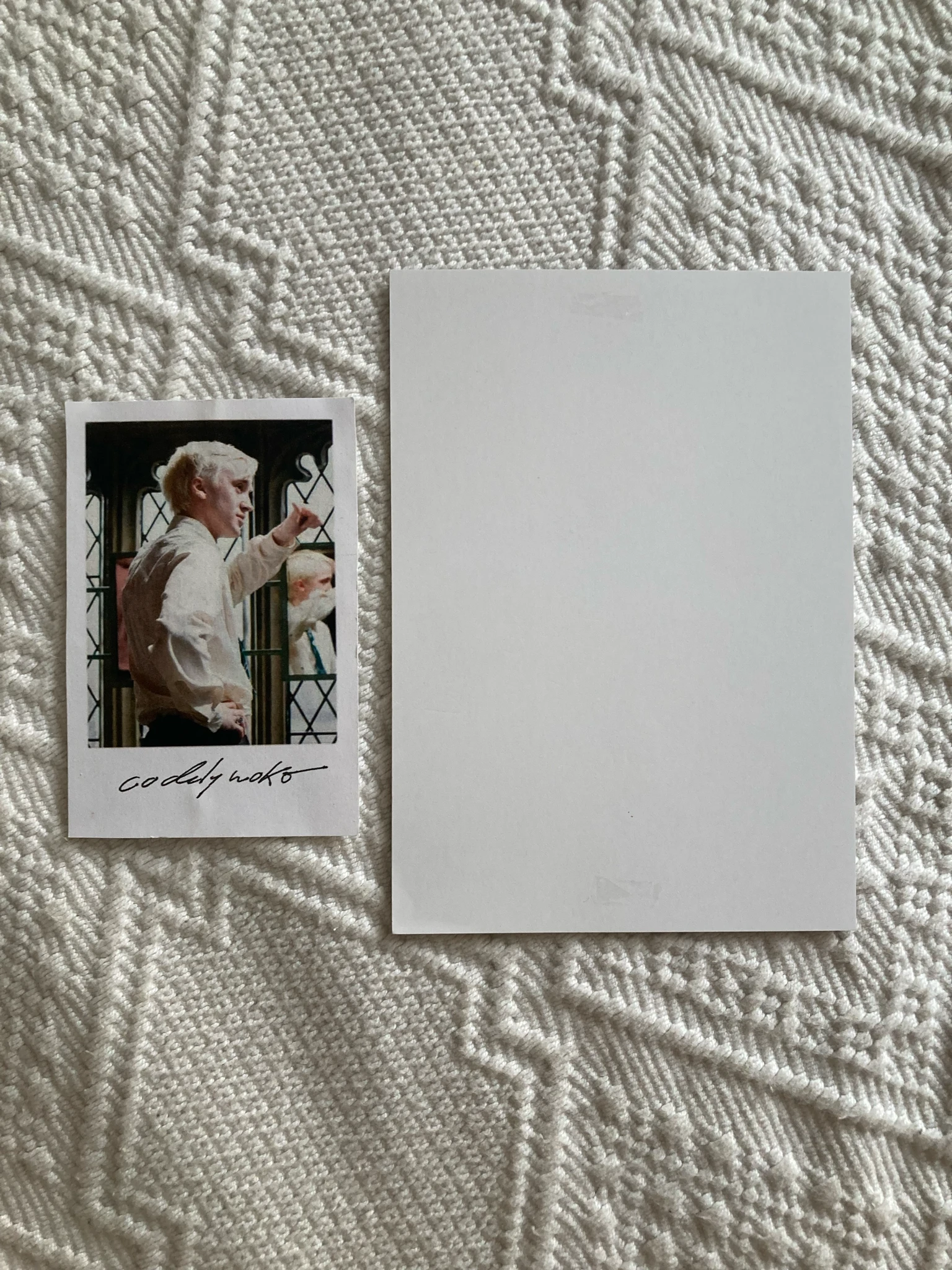 tripleS Lynn tripleS - Lynn - Assemble25 Album album inclusion are you alive version visual card listing photo 2