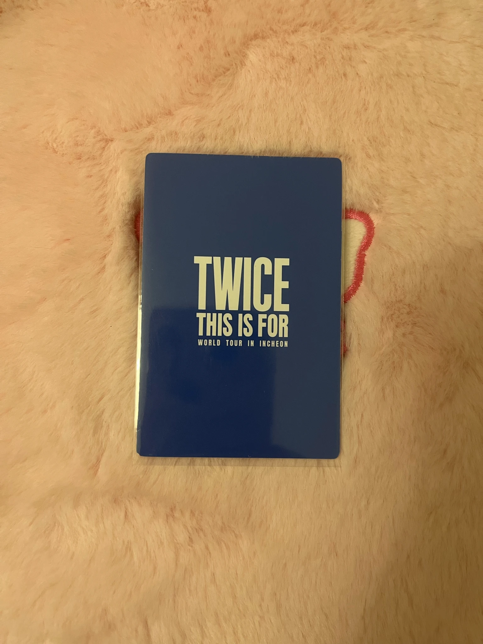 TWICE Dahyun TWICE - Dahyun - TWICE 6th World Tour THIS IS FOR Event entrance benefit incheon day 1 listing photo 2