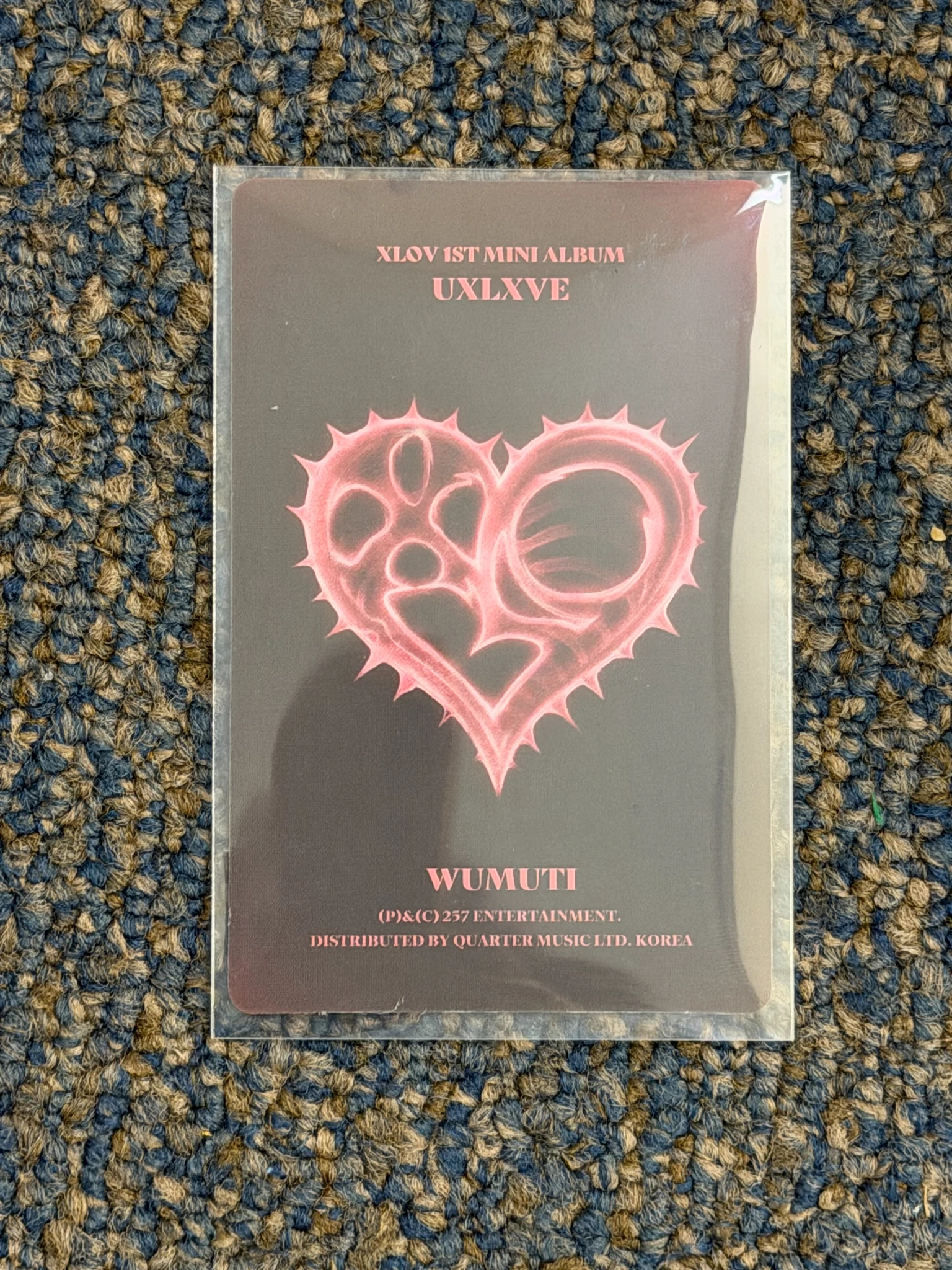 XLOV Wumuti XLOV - Wumuti - Uxlxve Album album photocard O version listing photo 2