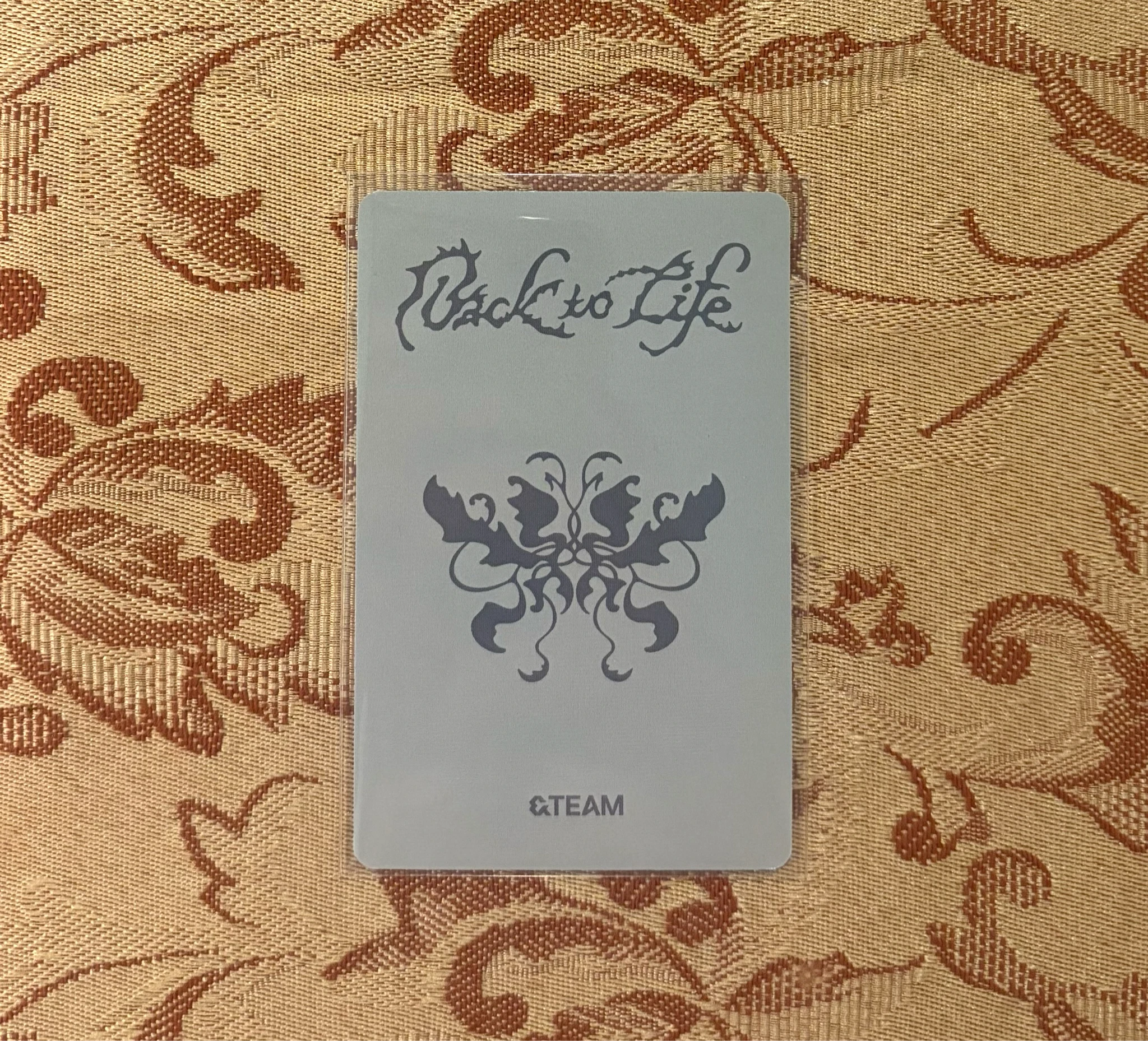 &TEAM EJ &TEAM - EJ - Back to Life  Album withfans / yizhiyu (yzy) round 14 pob (pre-order benefit) listing photo 2