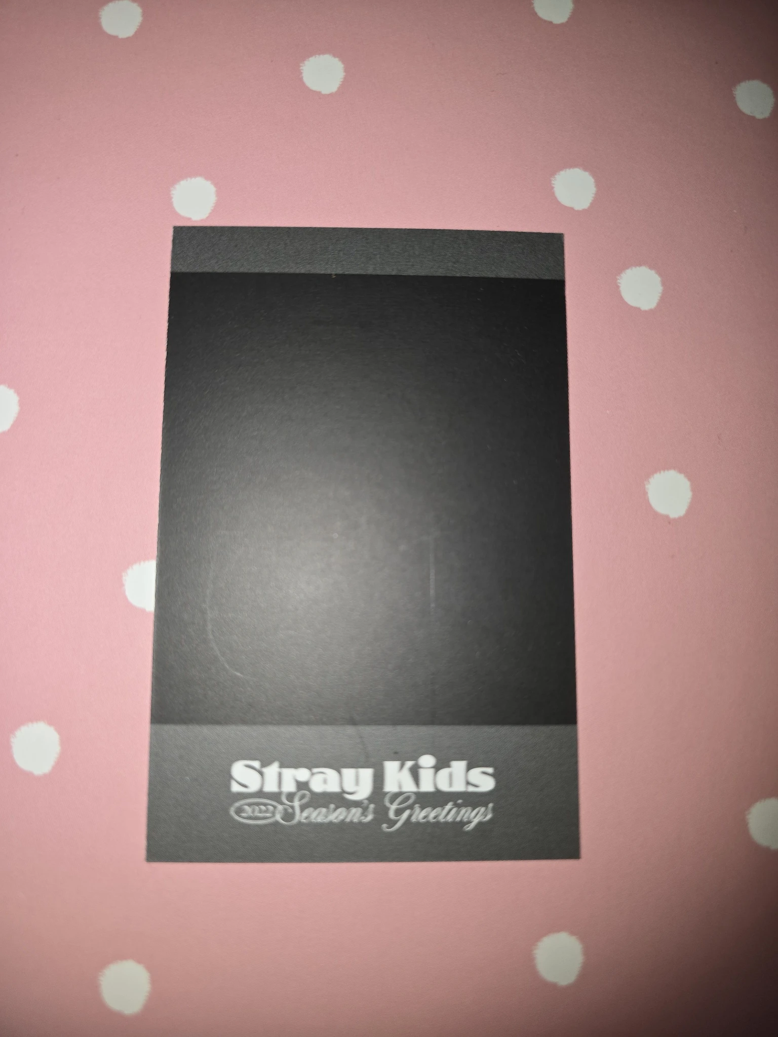 Stray Kids Bang Chan Stray Kids - Bang Chan - Seasons Greetings 2022 - Room Mates Event Garden Version listing photo 2