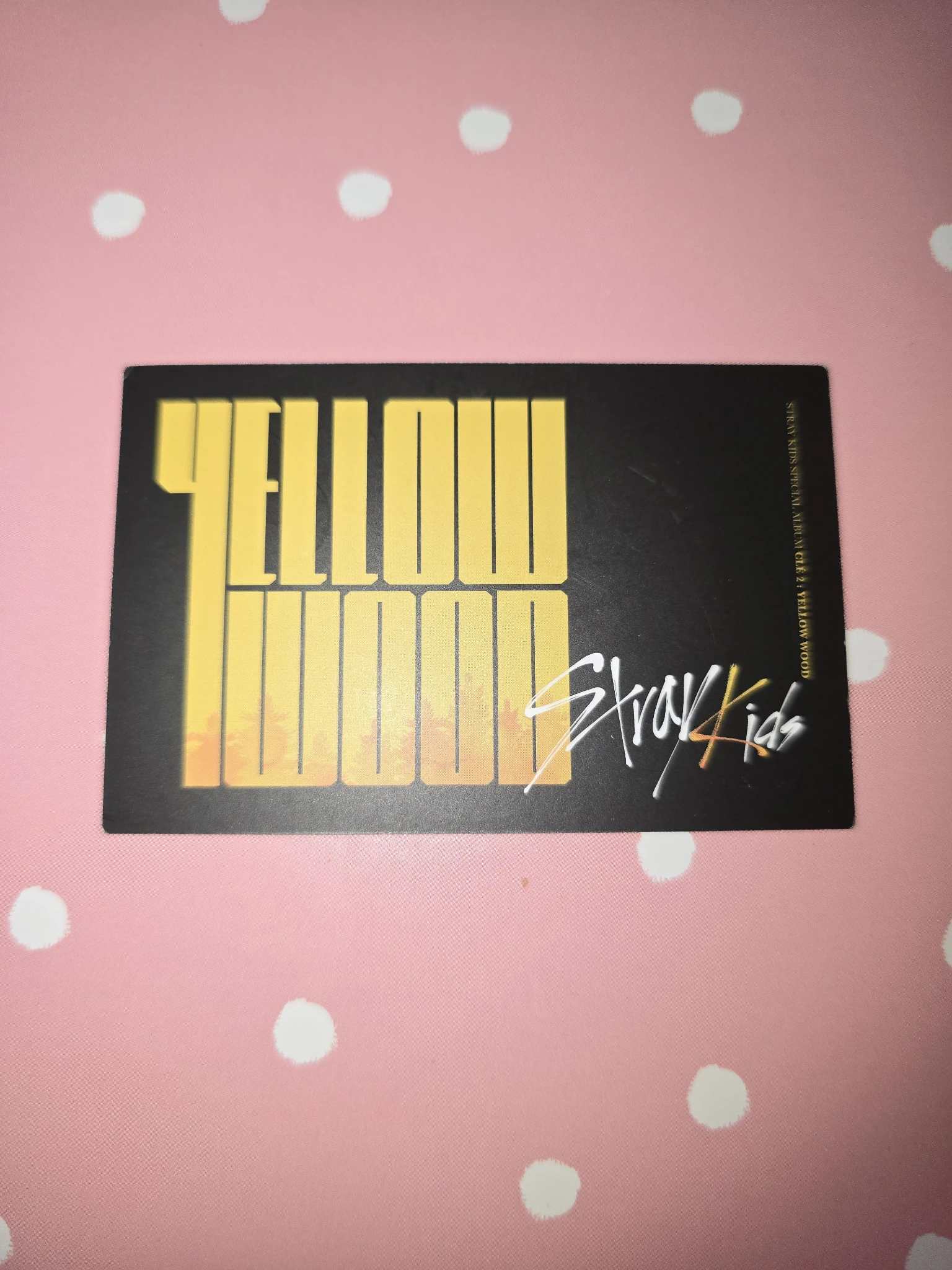 Stray Kids Stray Kids - Hyunjin & Felix & Changbin - Clé 2: Yellow Wood Album album photocard unit limited ver. listing photo 2