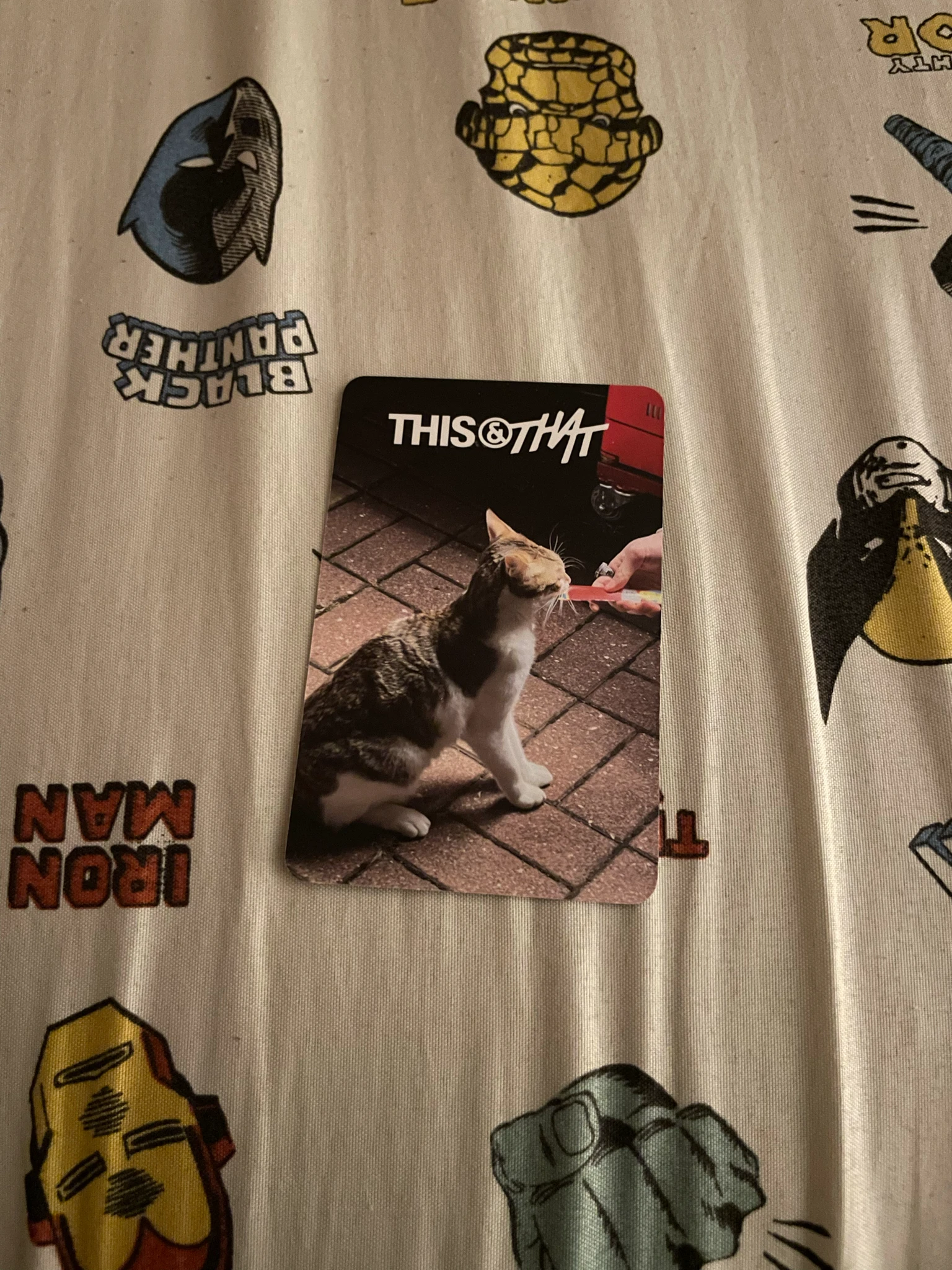 Stray Kids I.N Stray Kids - I.N - This & That Album that version album photocard listing photo 2