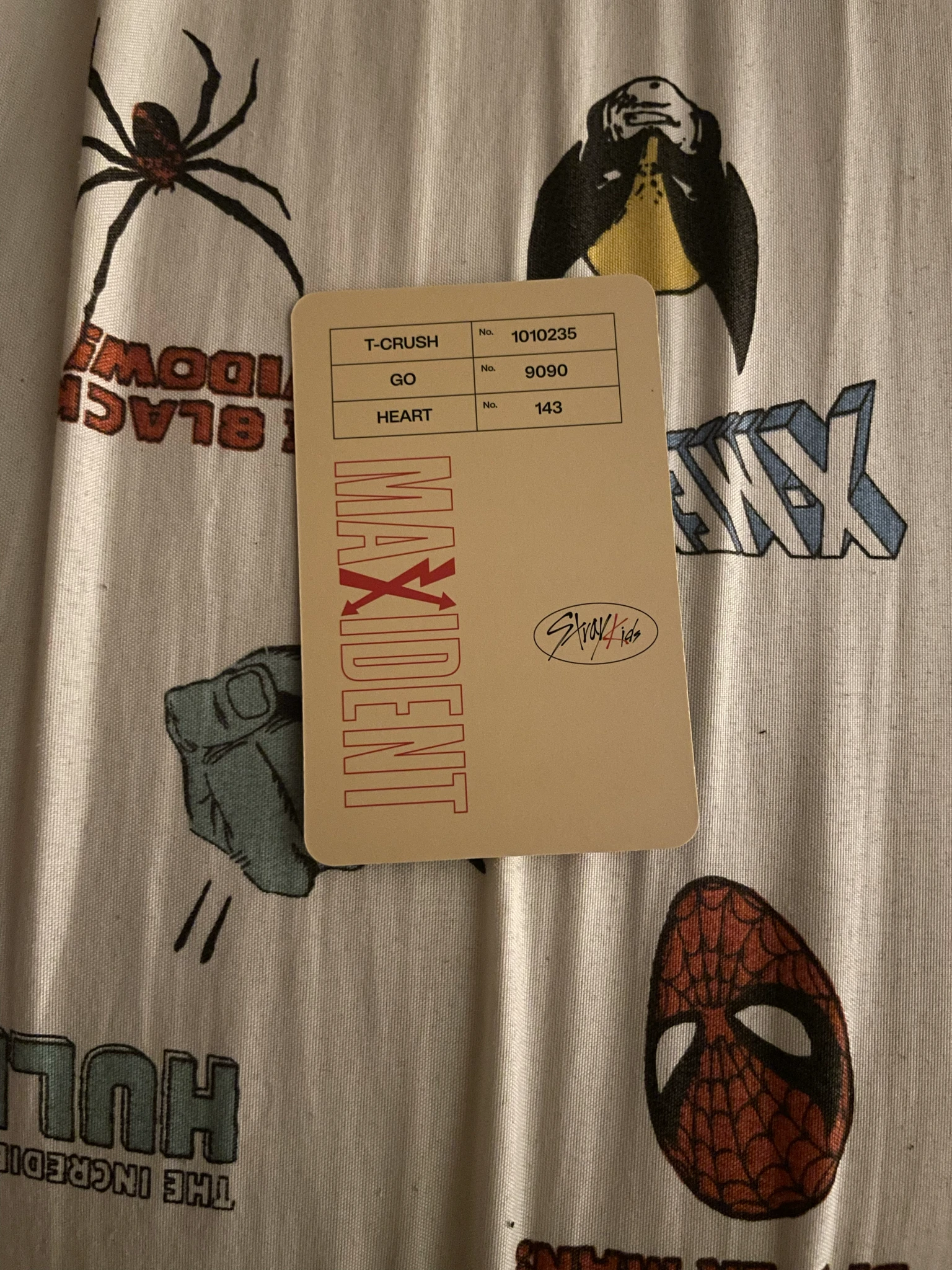 Stray Kids I.N Stray Kids - I.N - Maxident Album album photocard case ver. listing photo 2