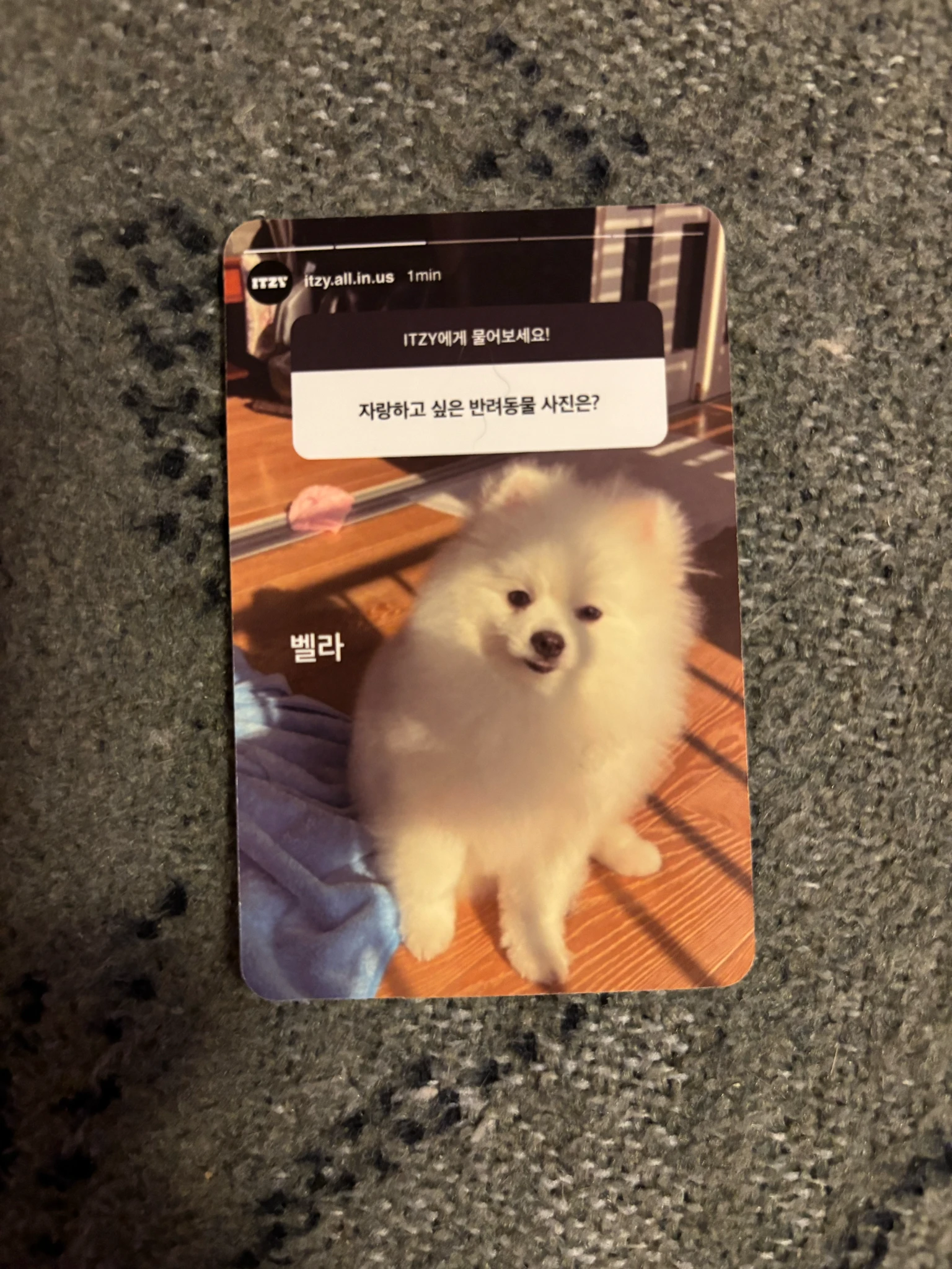 ITZY Lia ITZY - Lia - KILL MY DOUBT Album album photocard limited ver. listing photo 2