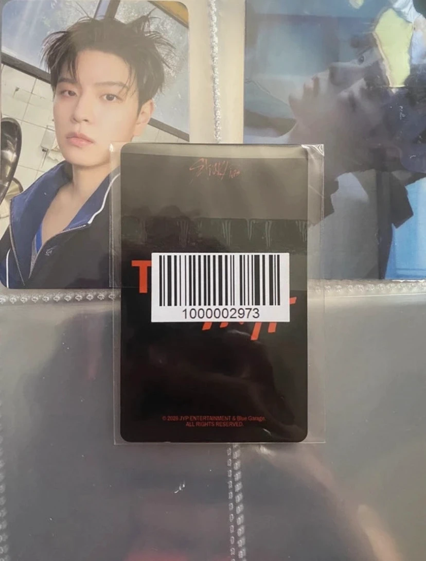 Stray Kids I.N Stray Kids - I.N - THIS & THAT Album fans album version pob (pre-order benefit) jyp/fans shop listing photo 2