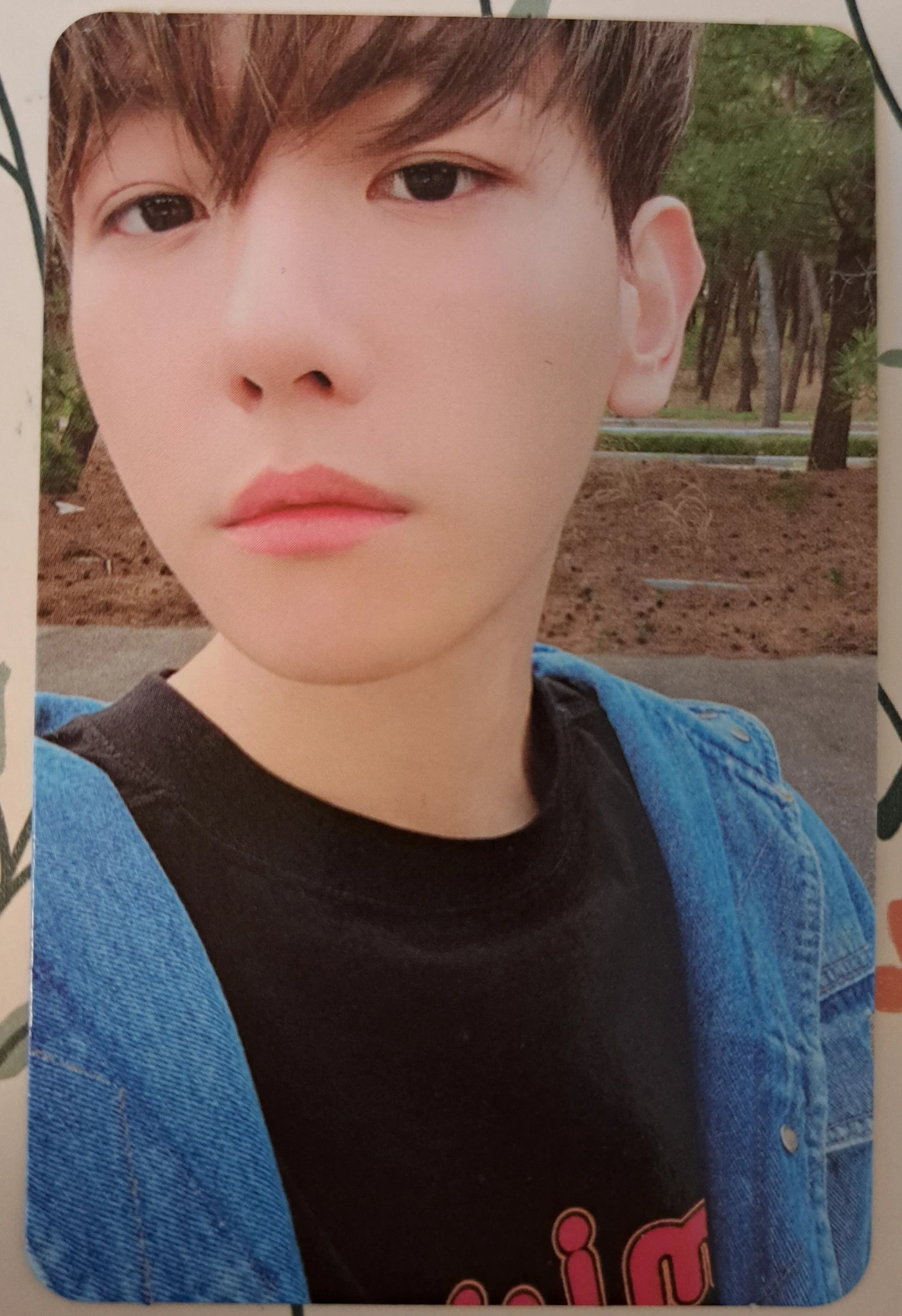 EXO Baekhyun EXO - Baekhyun - Delight Album mint version album photocard listing photo 2