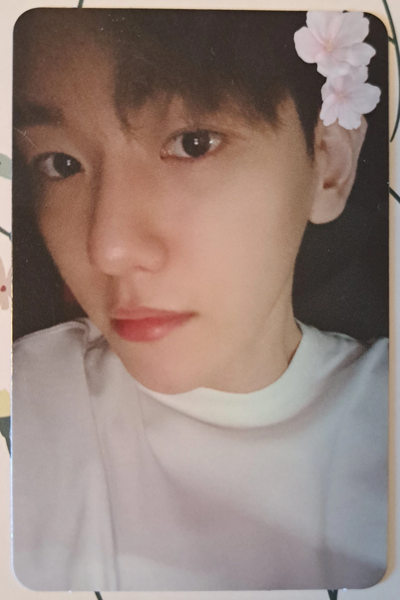 EXO Baekhyun EXO - Baekhyun - Delight Album korean album solo album album photocard chemistry version listing photo 2