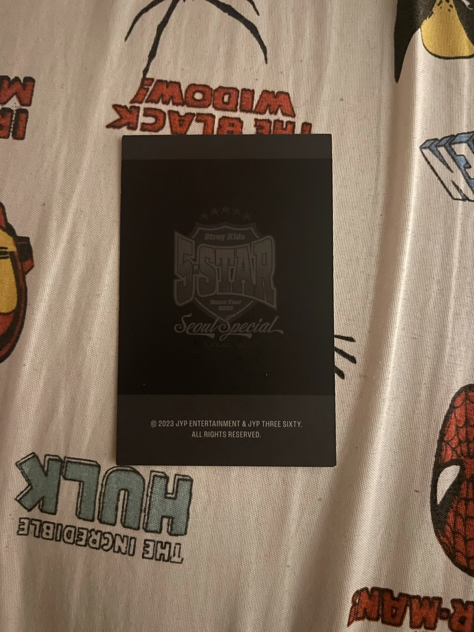 Stray Kids I.N Stray Kids - I.N - 5-Star Dome Tour 2023 Event merch photocard photocard case photocard set listing photo 2