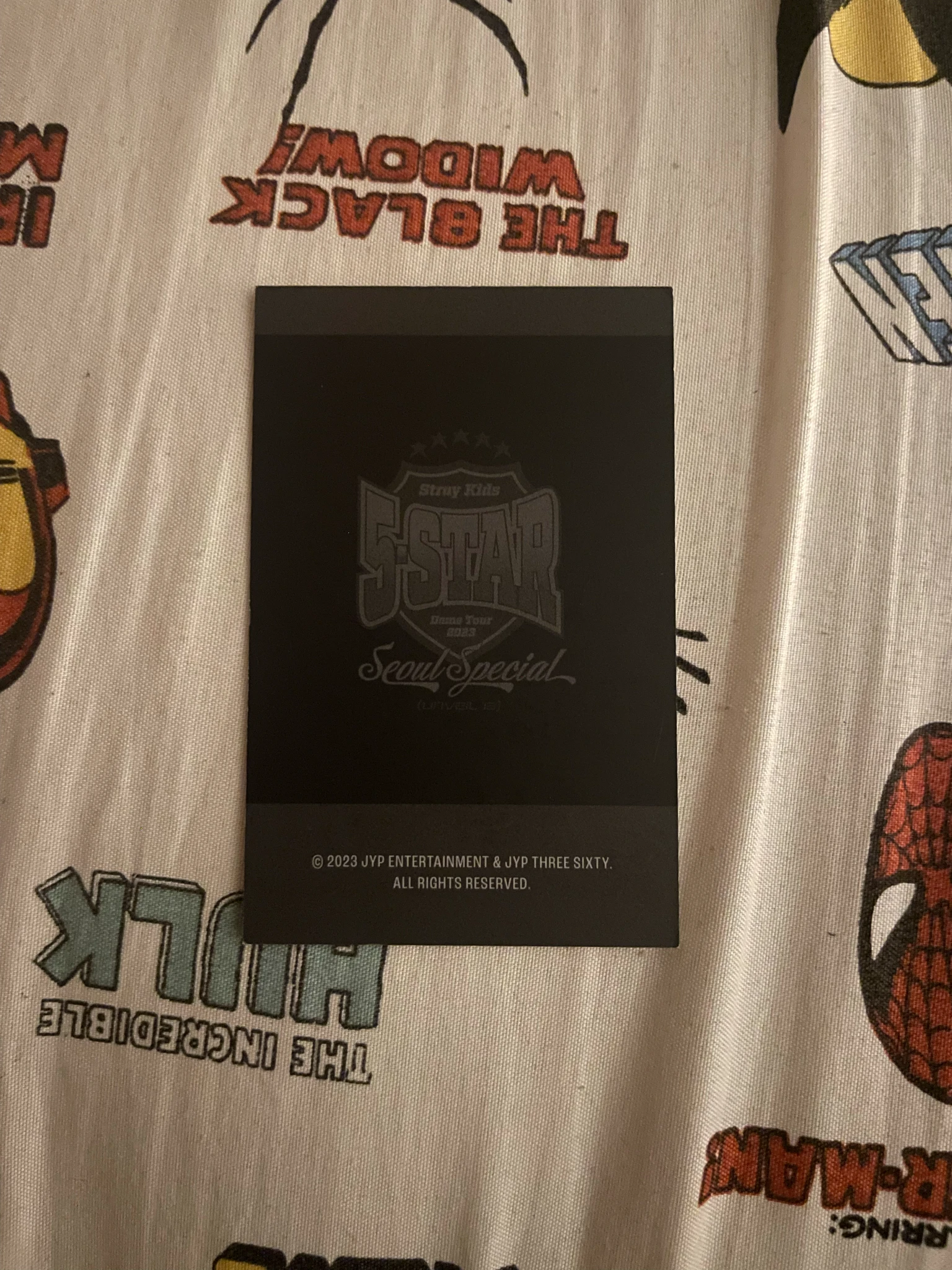 Stray Kids I.N Stray Kids - I.N - 5-Star Dome Tour 2023 Event merch photocard photocard case photocard set listing photo 2