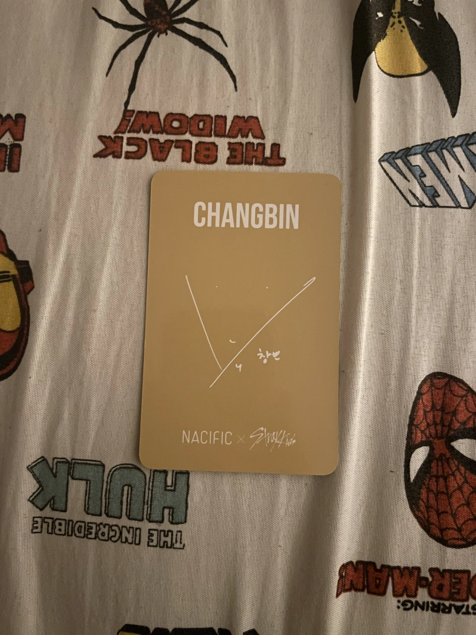 Stray Kids Changbin Stray Kids - Changbin - NACIFIC  x Stray Kids Other brand collaboration nacific round 14 listing photo 2