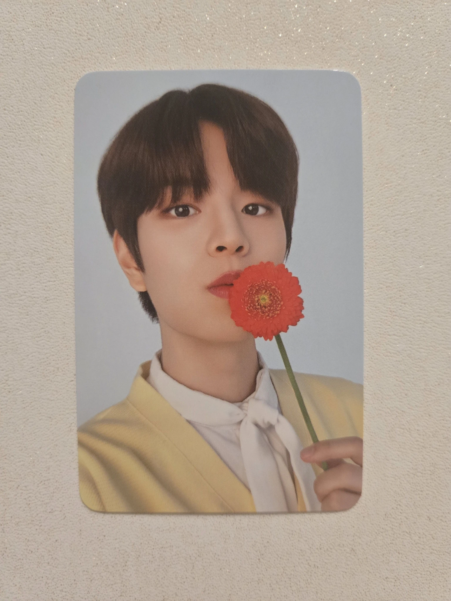 Stray Kids Seungmin Stray Kids - Seungmin - NACIFIC  x Stray Kids Other brand collaboration nacific round 10 double-sided front side listing photo 2