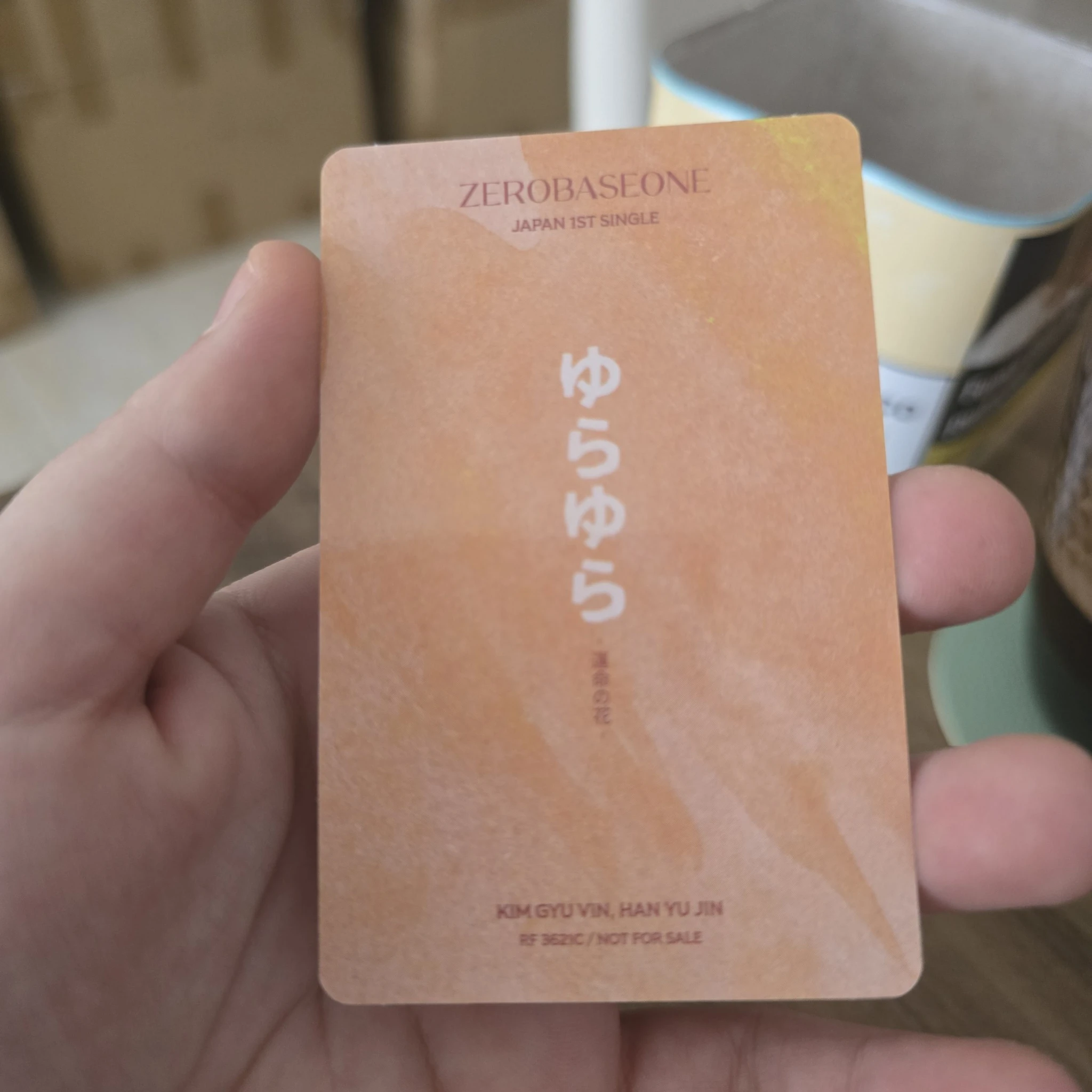 ZEROBASEONE ZEROBASEONE - Gyuvin & Yujin - Yura Yura (ゆらゆら -運命の花-) Album album photocard japanese album standard version listing photo 2