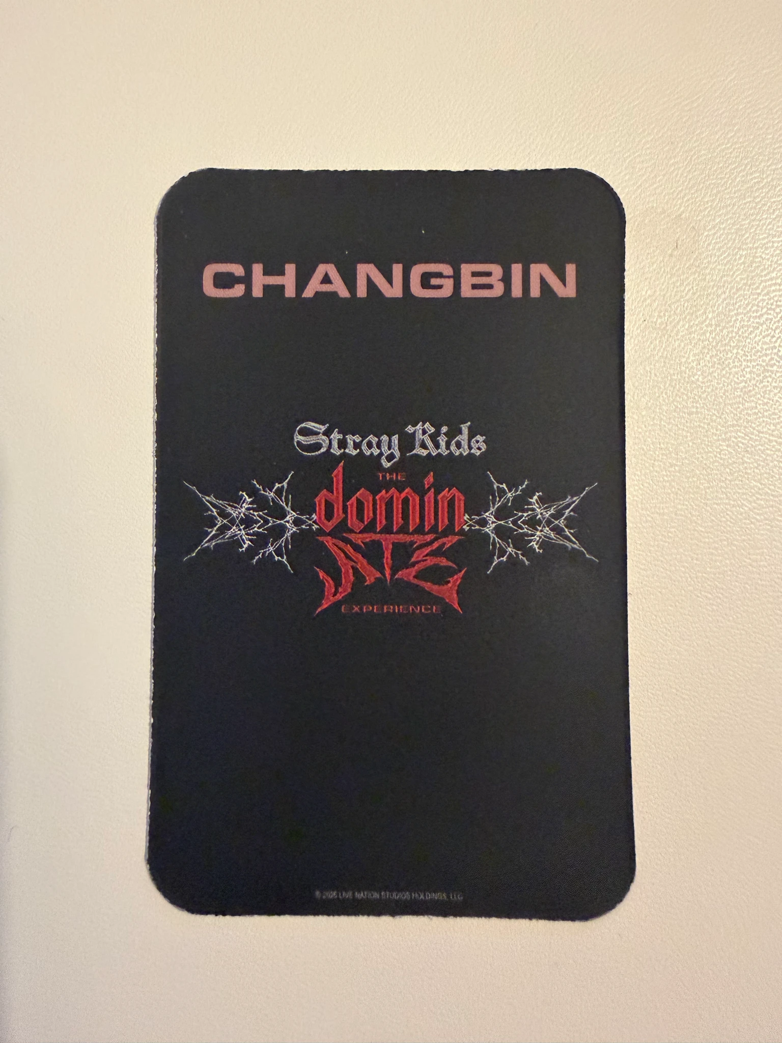 Stray Kids Changbin Stray Kids - Changbin - Stray Kids : The dominATE Experience Event photocard set listing photo 2