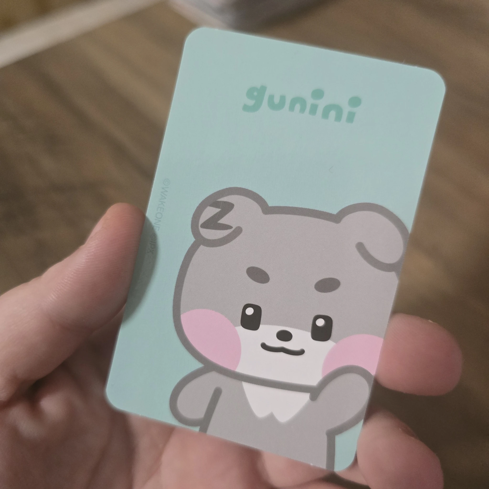 ZEROBASEONE Gunwook ZEROBASEONE - Gunwook - ZB1 x LINE FRIENDS Other merch photocard photocard holder listing photo 2