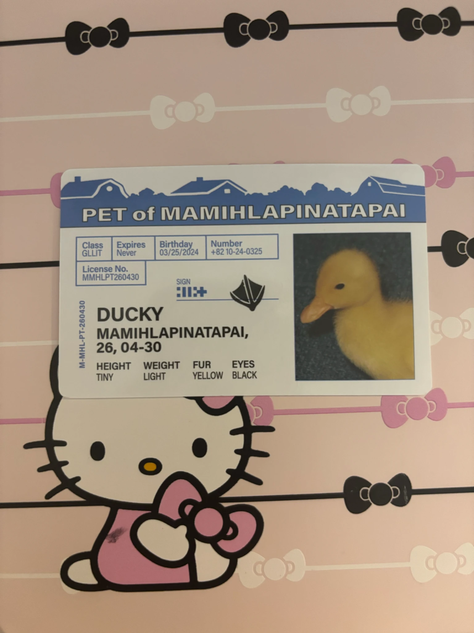 ILLIT Minju ILLIT - Minju - MAMIHLAPINATAPAI Album paw paw version listing photo 2