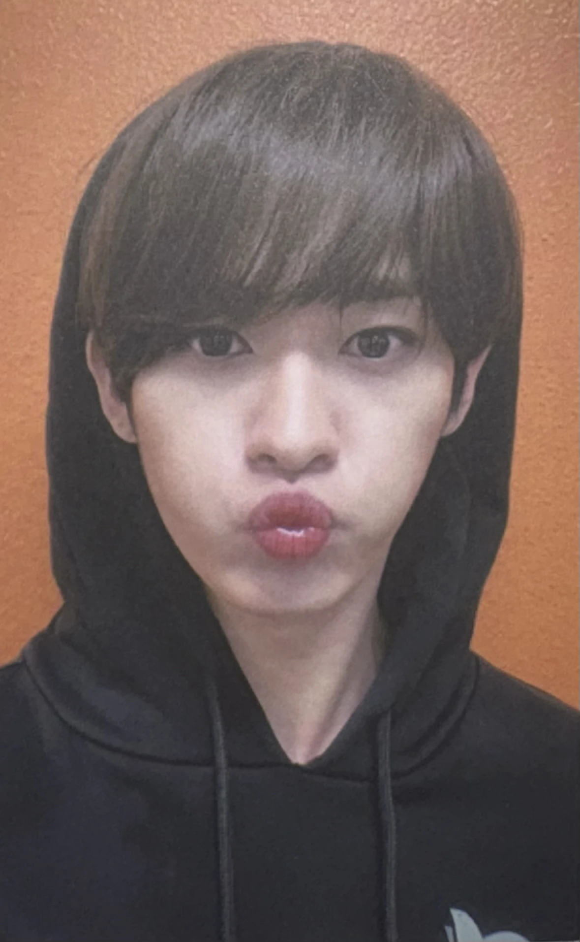 Stray Kids Lee Know Stray Kids - Lee Know - GO LIVE Album album photocard A version double-sided back side listing photo 2