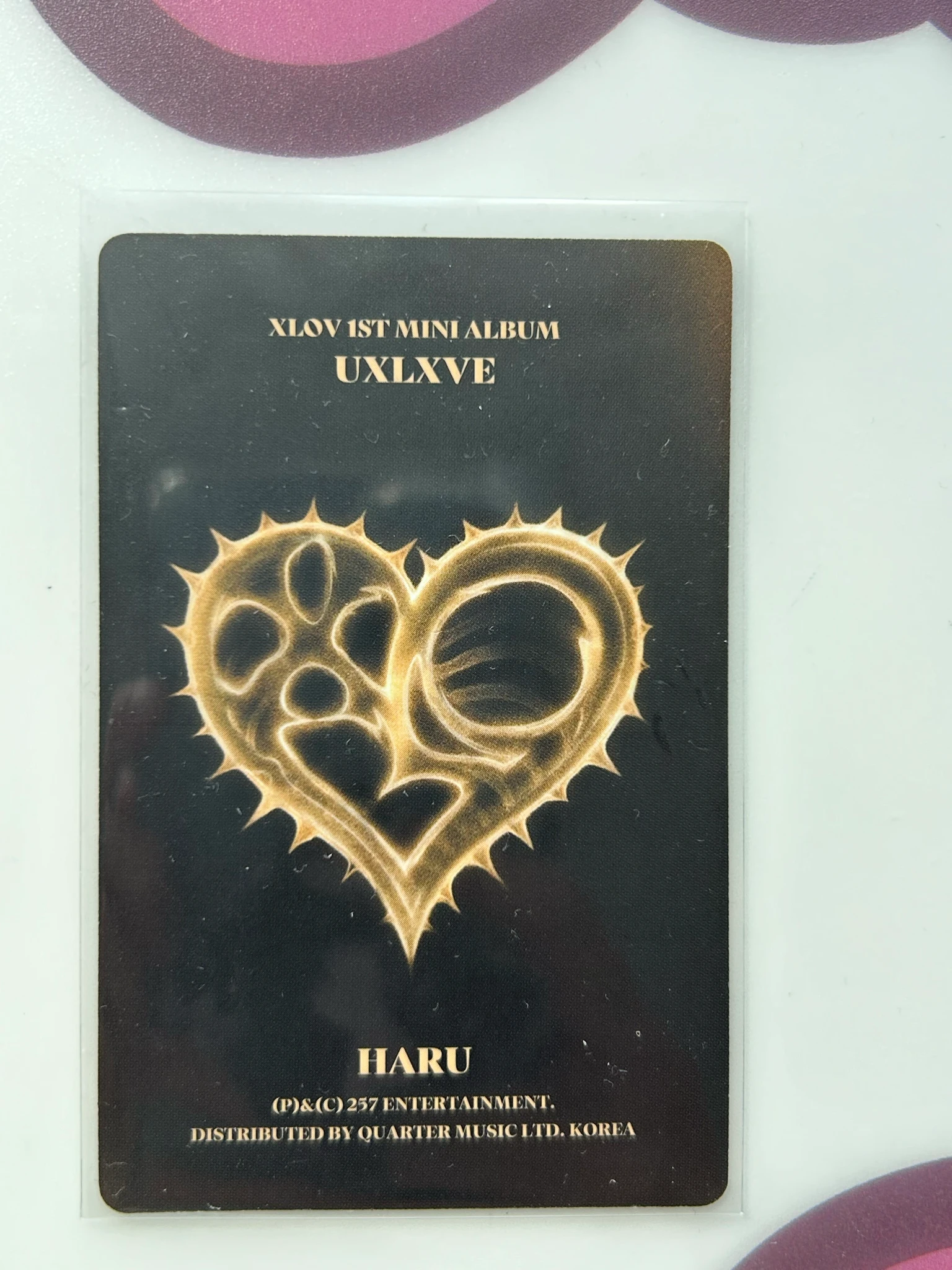 XLOV Haru XLOV - Haru - UXLXVE Album album photocard O version listing photo 2