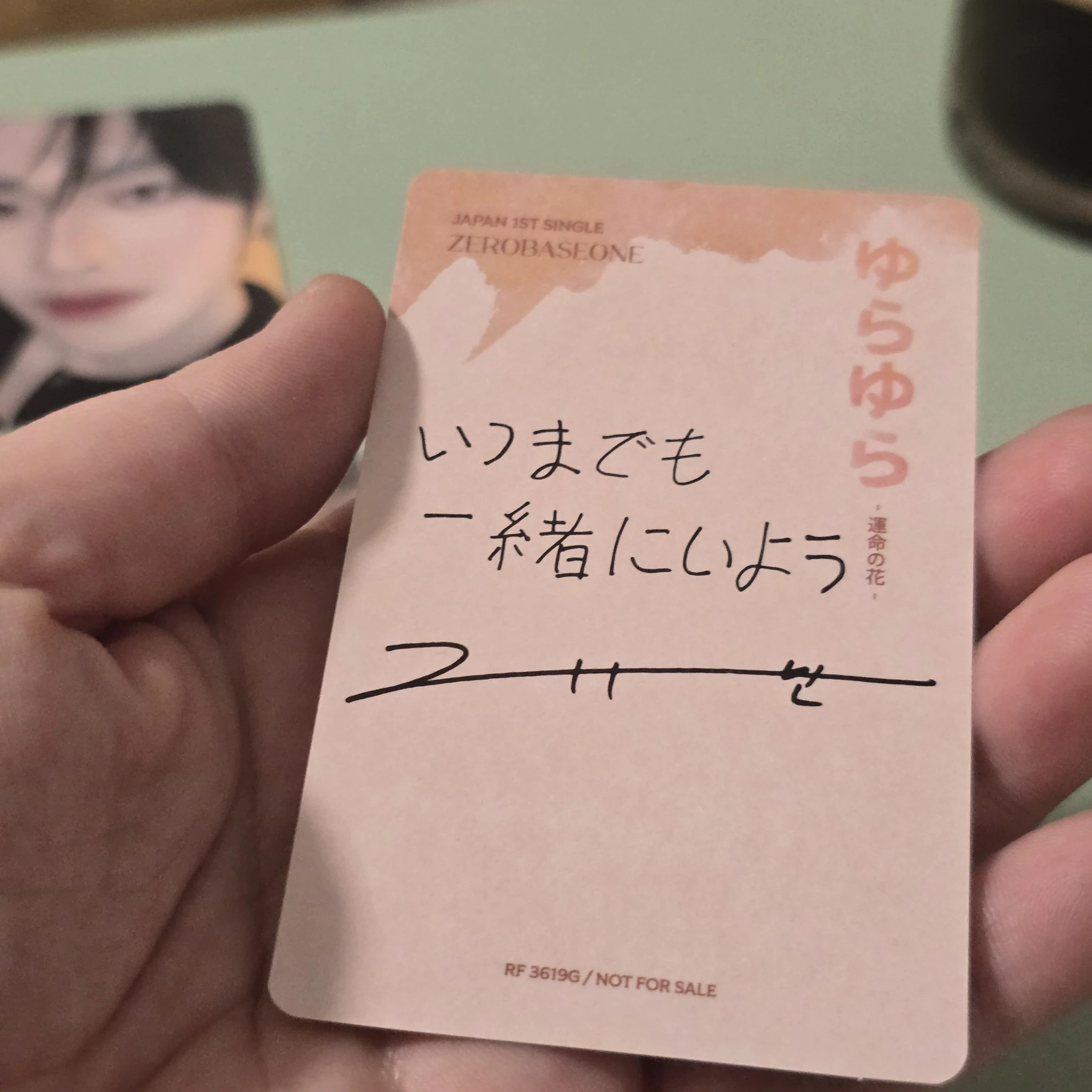 ZEROBASEONE Gyuvin ZEROBASEONE - Gyuvin - Yura Yura (ゆらゆら -運命の花-) Album album photocard japanese album limited A Version listing photo 2