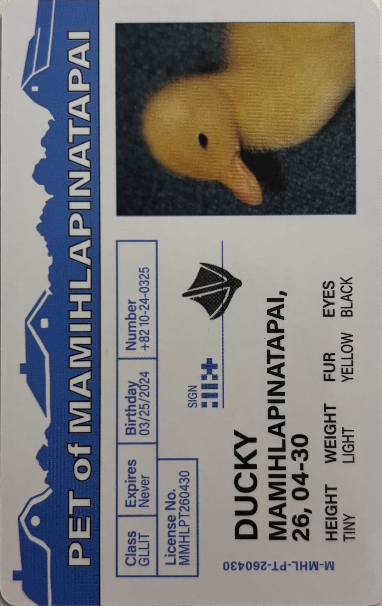 ILLIT Minju ILLIT - Minju - MAMIHLAPINATAPAI Album paw paw version listing photo 2