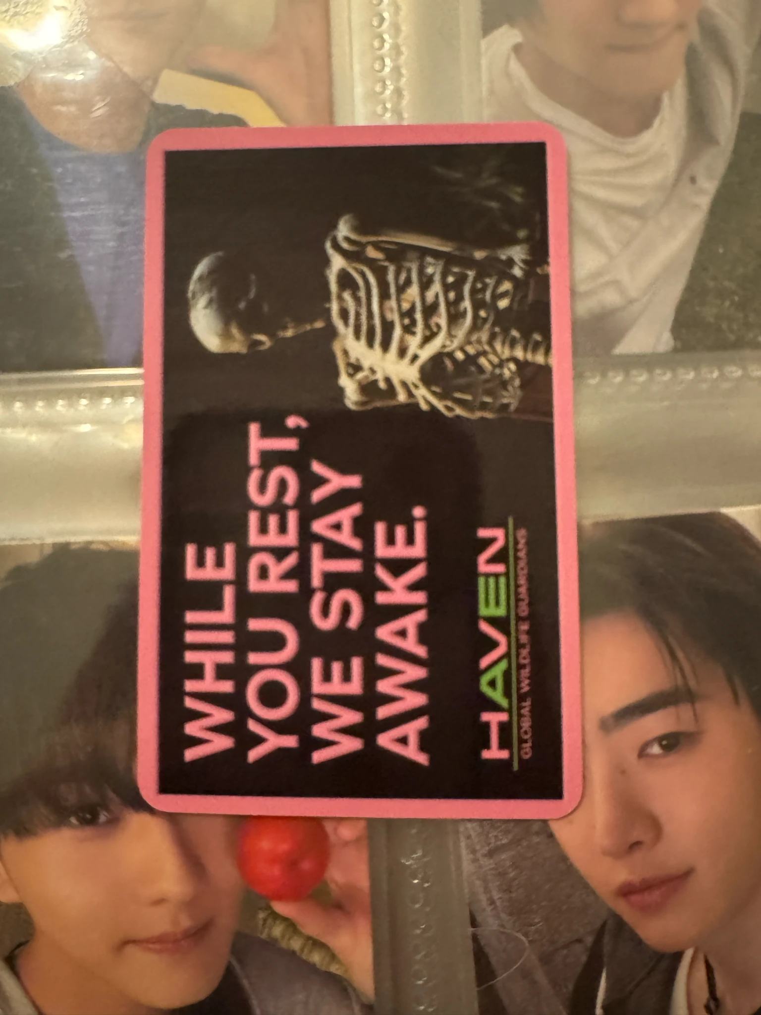 ENHYPEN Jake ENHYPEN - Jake - THE SIN: BLISS Album album photocard engene version listing photo 2
