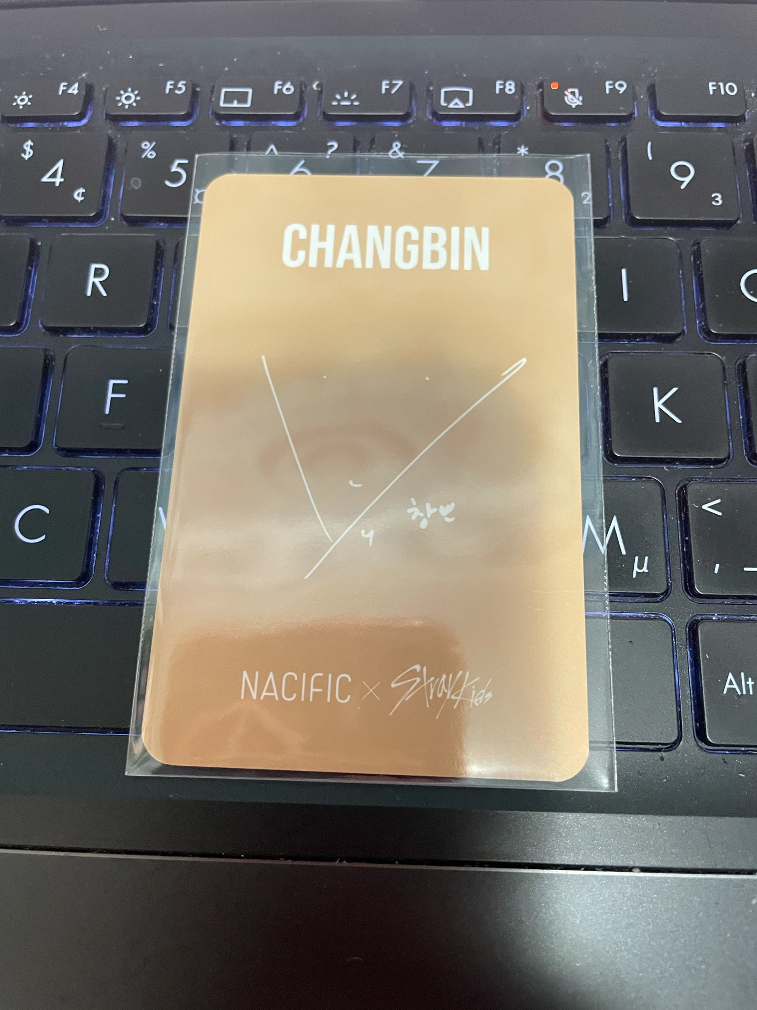Stray Kids Changbin Stray Kids - Changbin - NACIFIC  x Stray Kids Other brand collaboration nacific round 14 listing photo 2