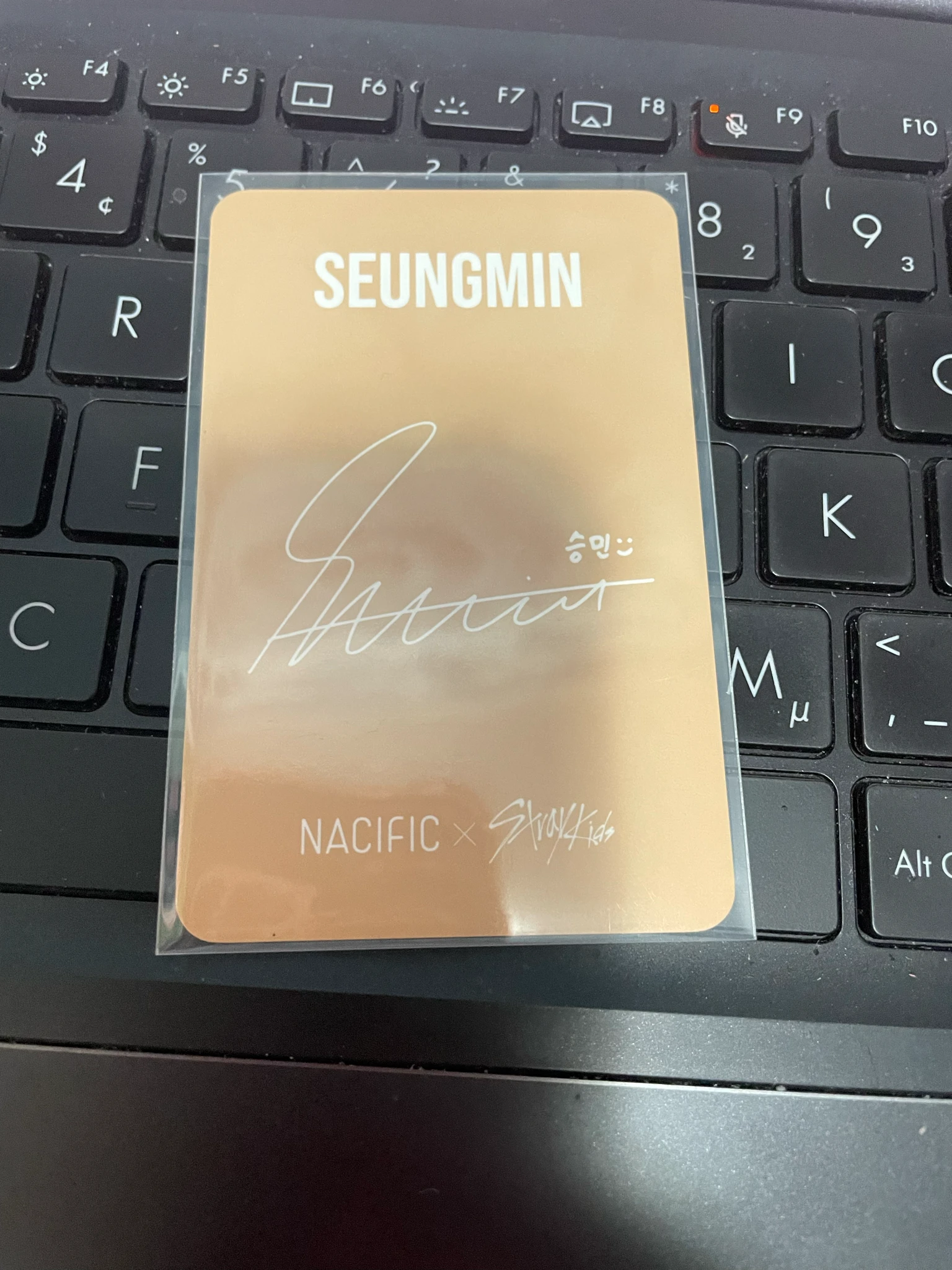 Stray Kids Seungmin Stray Kids - Seungmin - NACIFIC  x Stray Kids Other listing photo 2