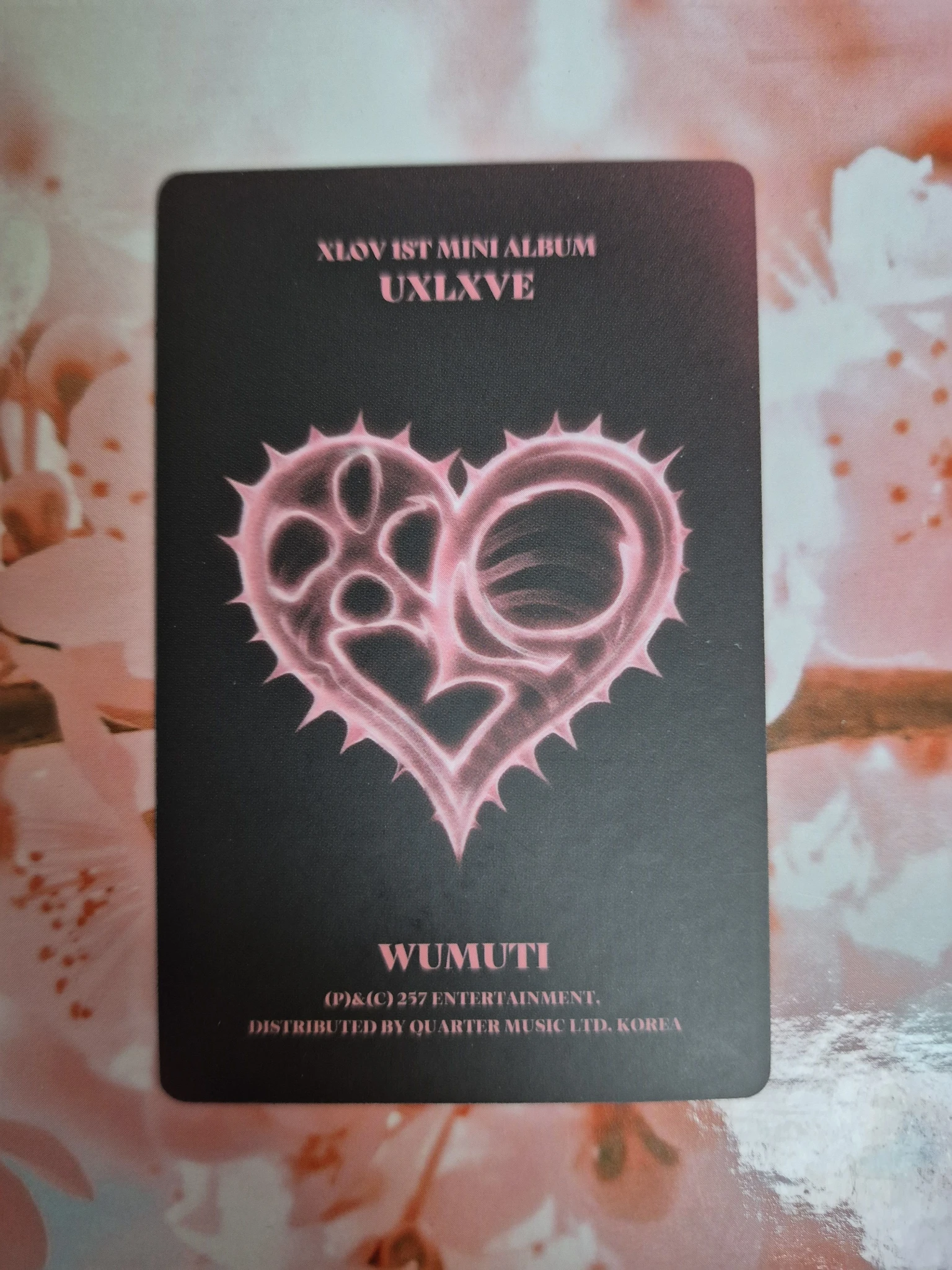XLOV Wumuti XLOV - Wumuti - Uxlxve Album album photocard O version listing photo 2