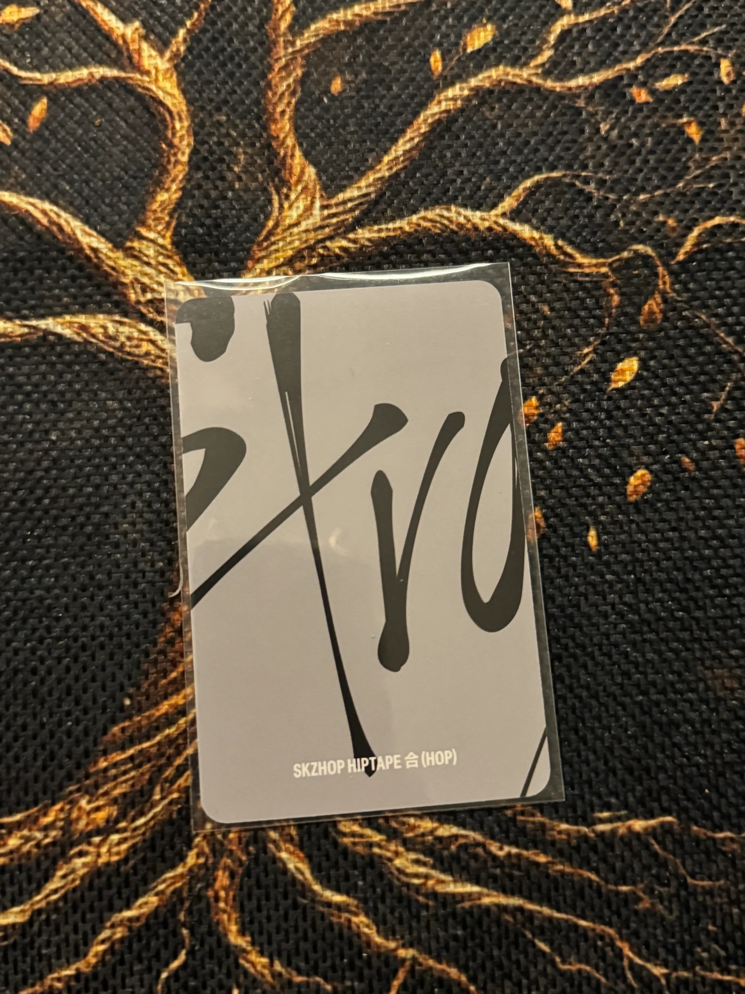 Stray Kids Felix Stray Kids - Felix - HOP Album album photocard accordion version listing photo 2