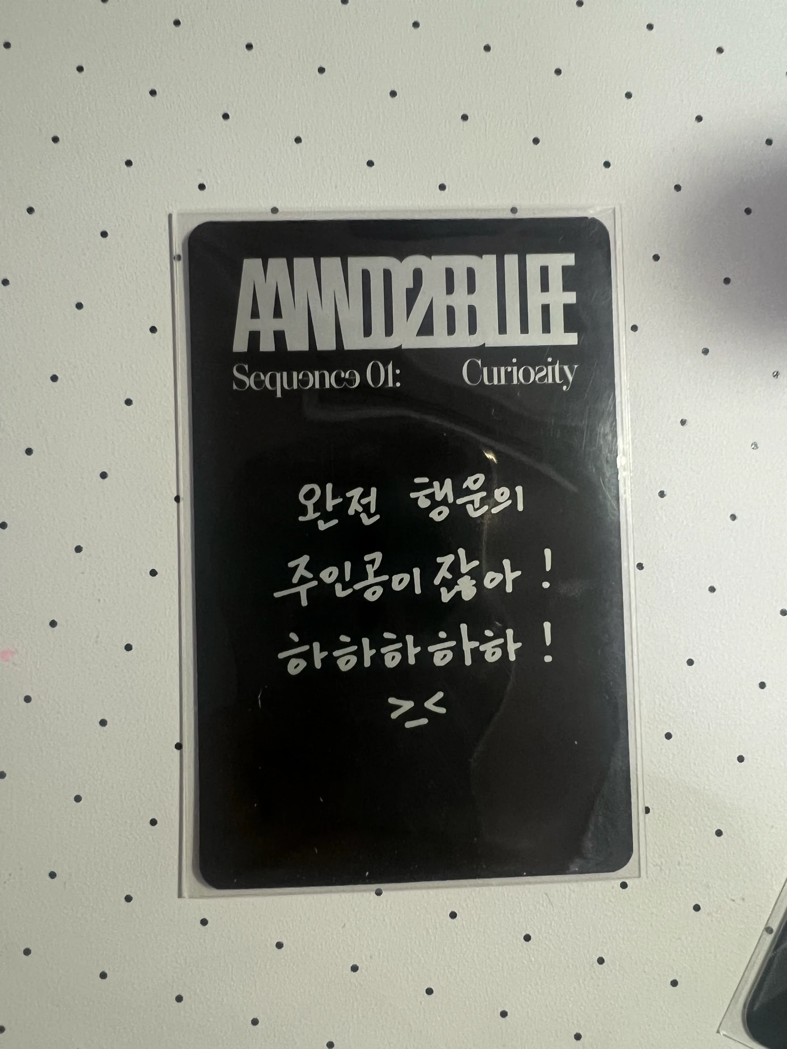 AND2BLE Hao AND2BLE - Hao - Sequence 01: Curiosity Album album photocard photocard set curious version listing photo 2