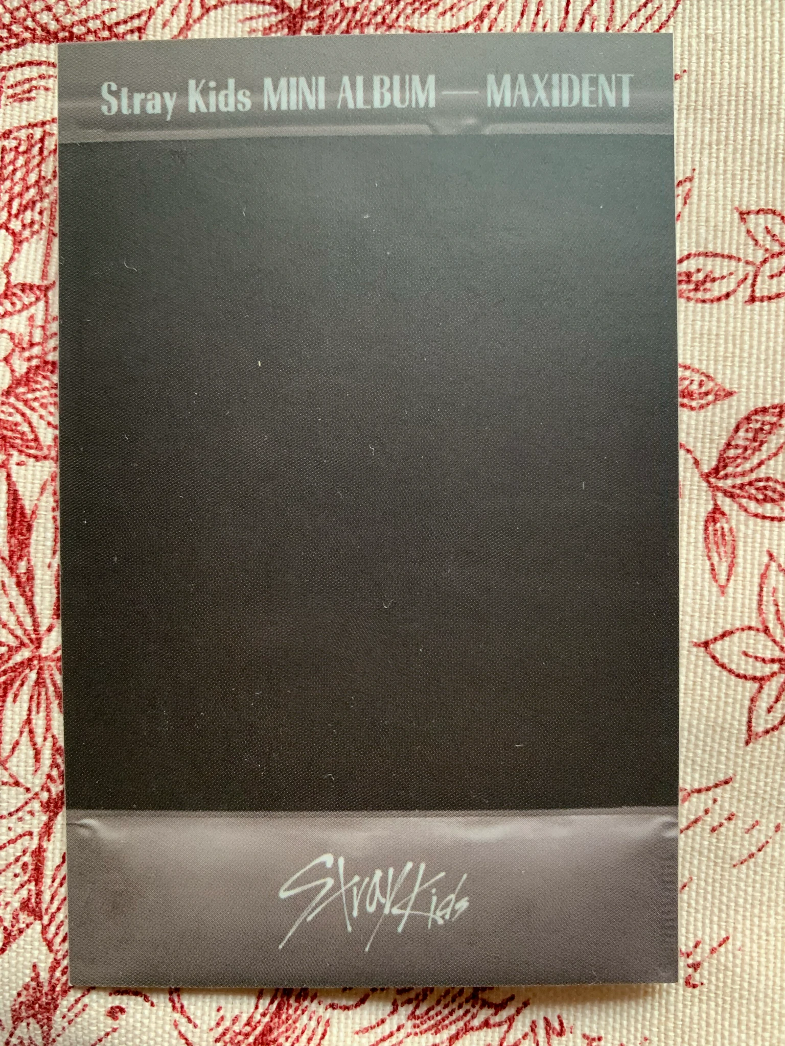 Stray Kids Changbin Stray Kids - Changbin - Maxident Album pre-order benefit polaroid go ver. limited ver. listing photo 2