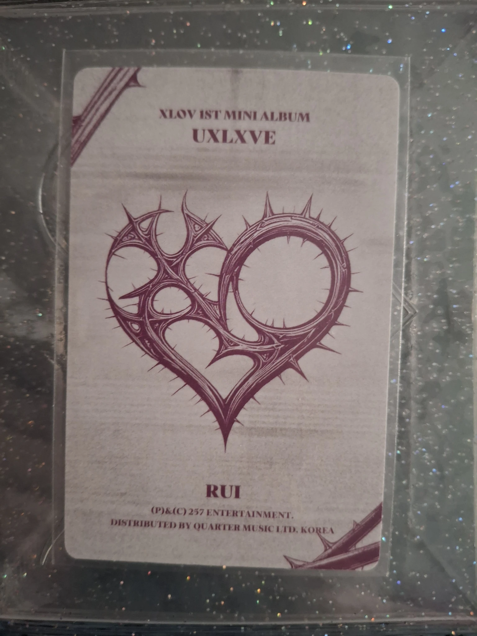 XLOV Rui XLOV - Rui - UXLXVE Album album photocard N version listing photo 2