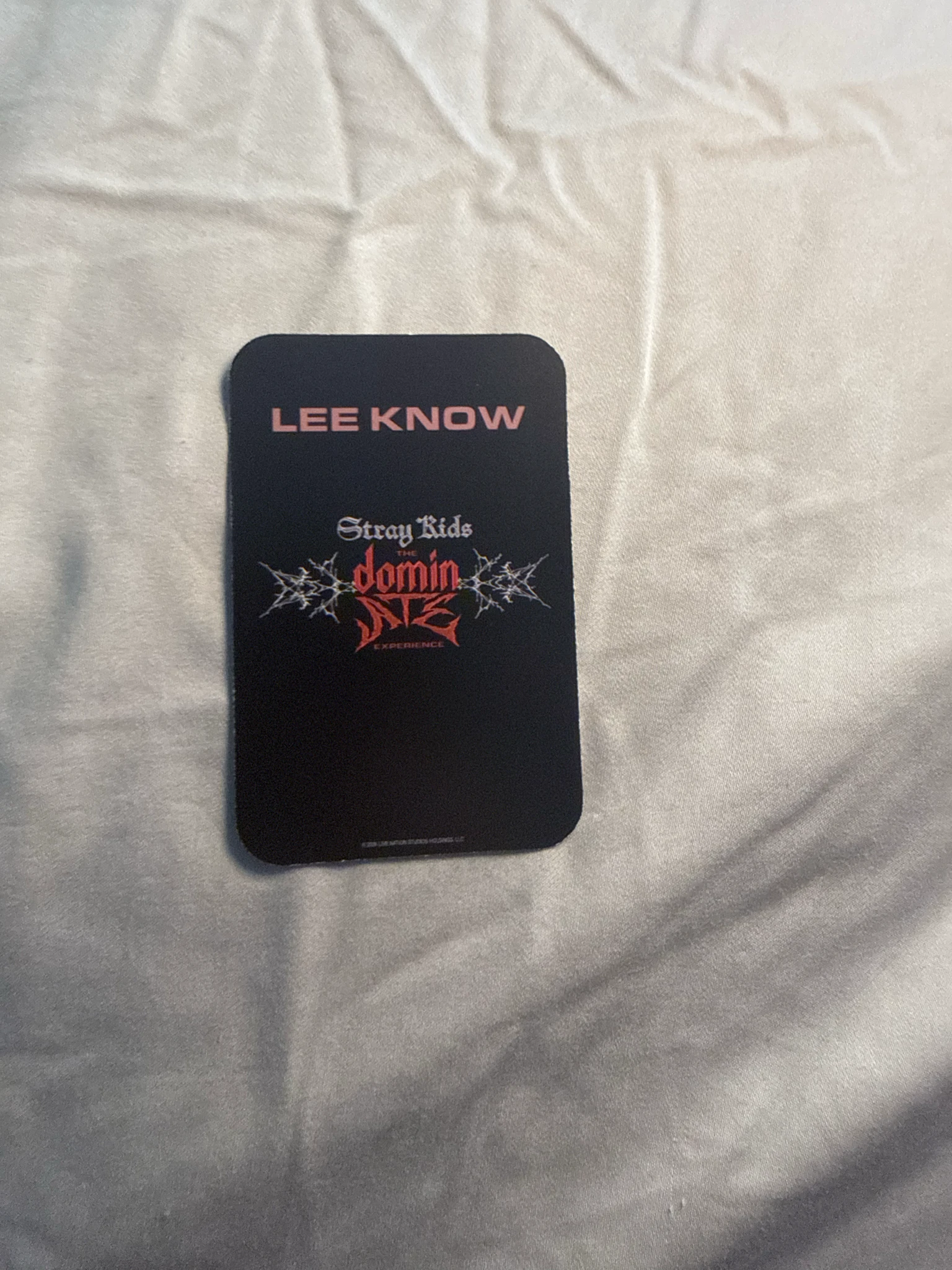 Stray Kids Lee Know Stray Kids - Lee Know - Stray Kids : The dominATE Experience Event photocard set listing photo 2