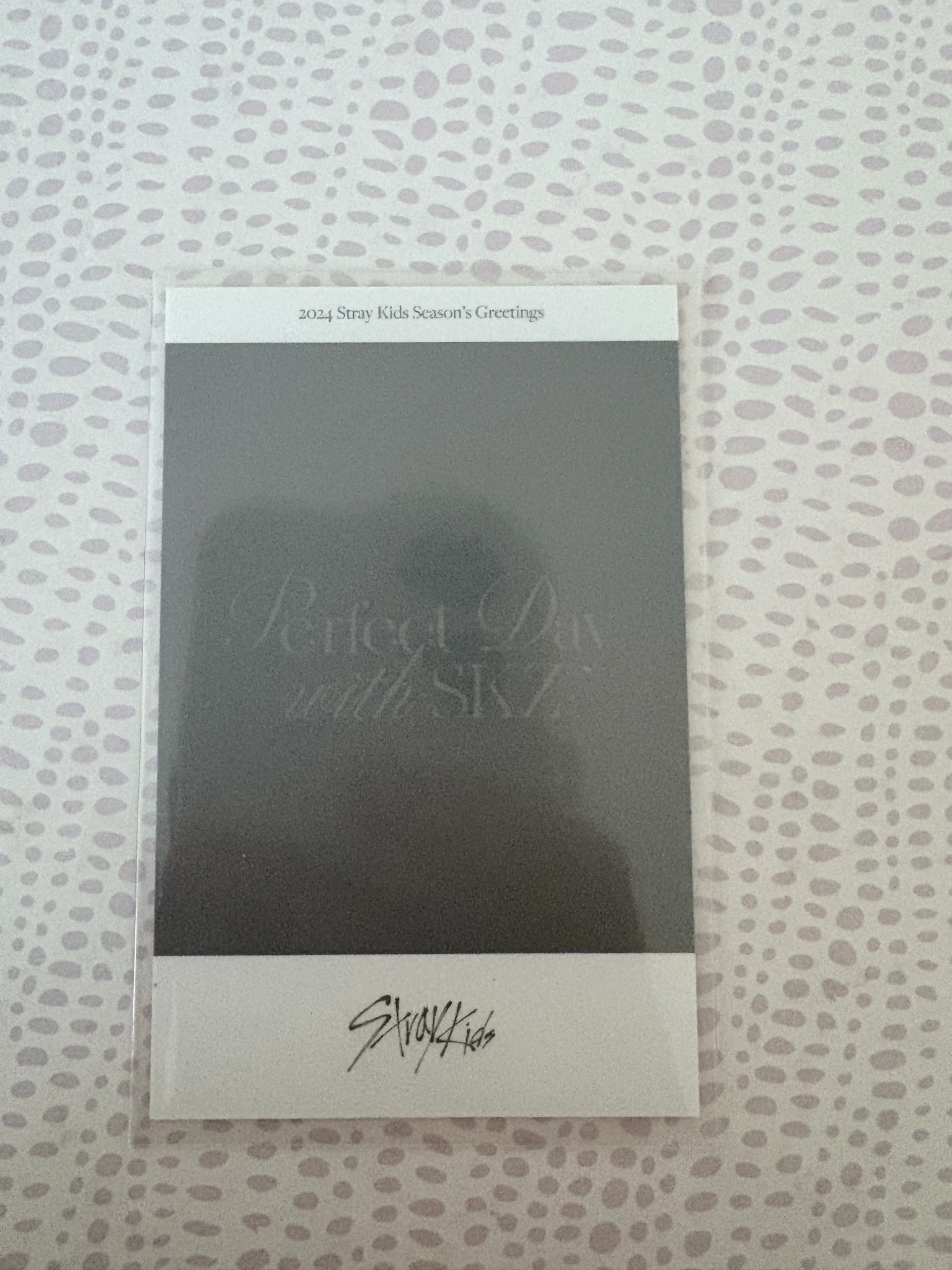 Stray Kids Hyunjin Stray Kids - Hyunjin - 2024 Season's Greetings - Perfect Day with SKZ Other pob (pre-order benefit) season's greetings polaroid support store listing photo 2
