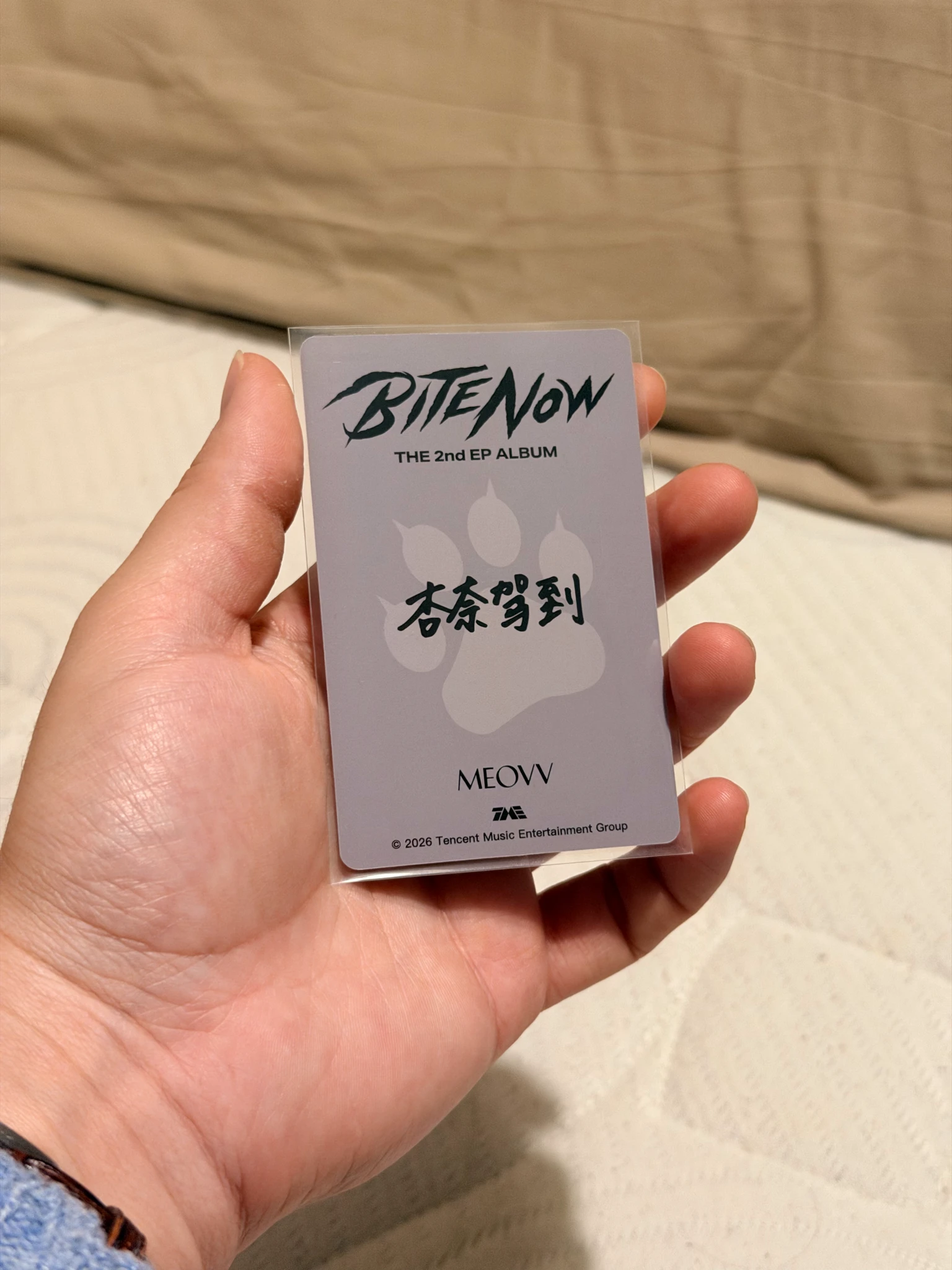 MEOVV Anna MEOVV - Anna - BITE NOW Album joox qq music 5 star listing photo 2