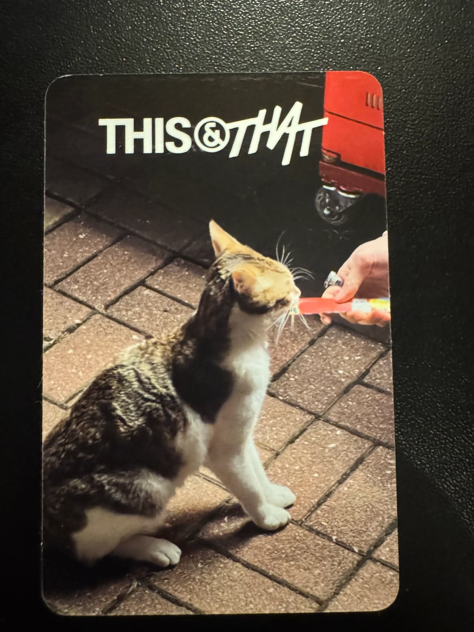 Stray Kids I.N Stray Kids - I.N - This & That Album that version album photocard listing photo 2