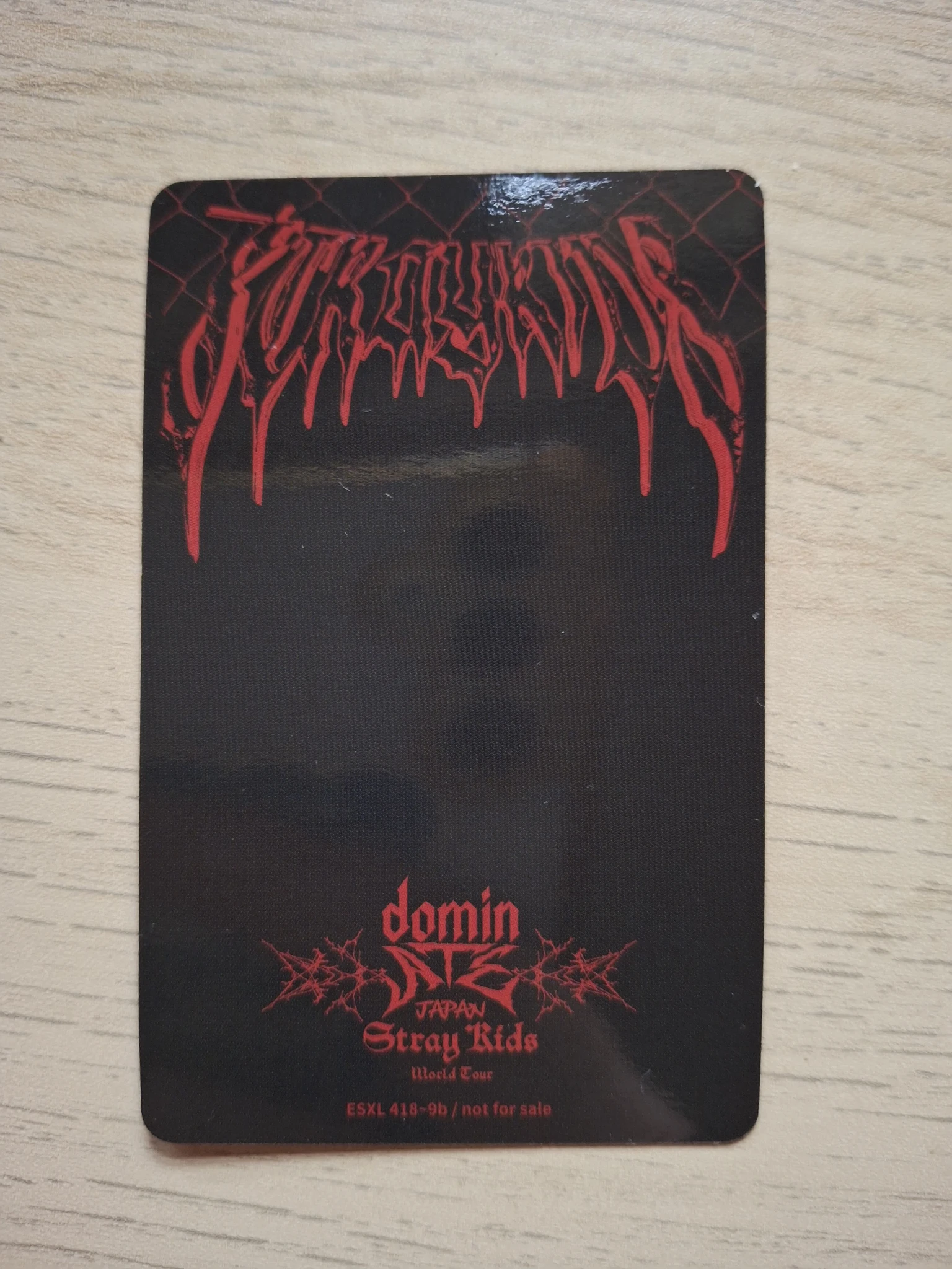 Stray Kids I.N Stray Kids - Other limited edition photocard set version 2 dvd/blu-ray photocard listing photo 2
